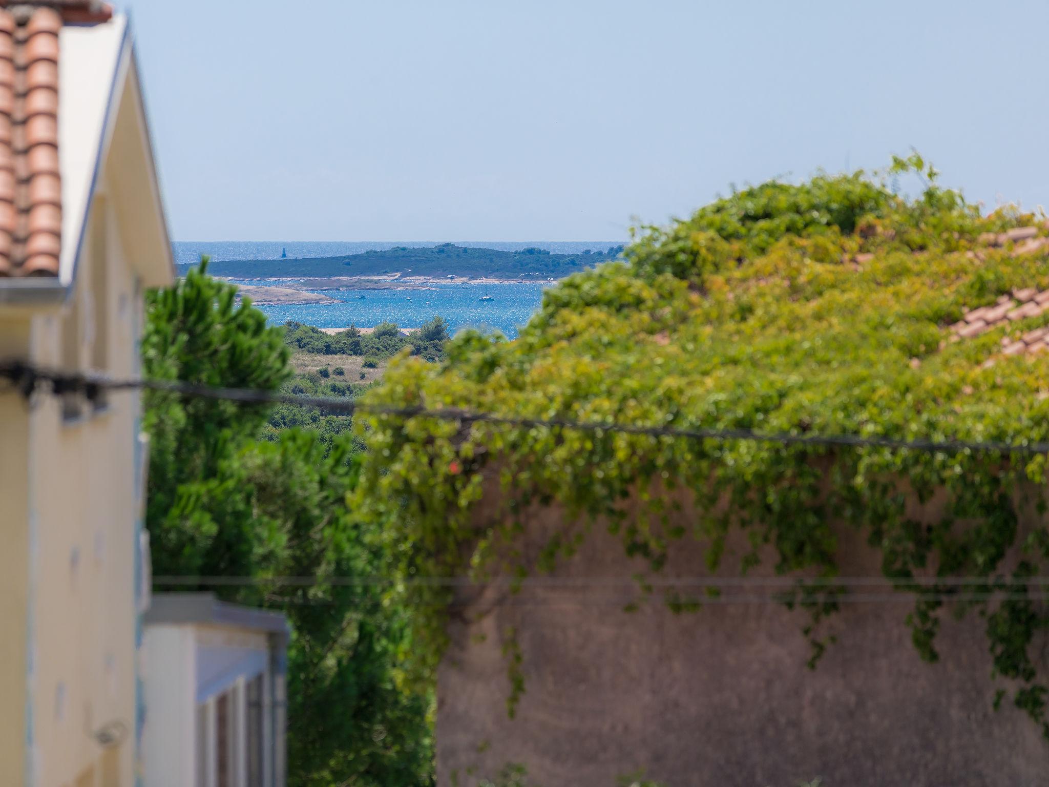 Foto 7 - Casa con 3 camere da letto a Ližnjan con piscina privata e giardino