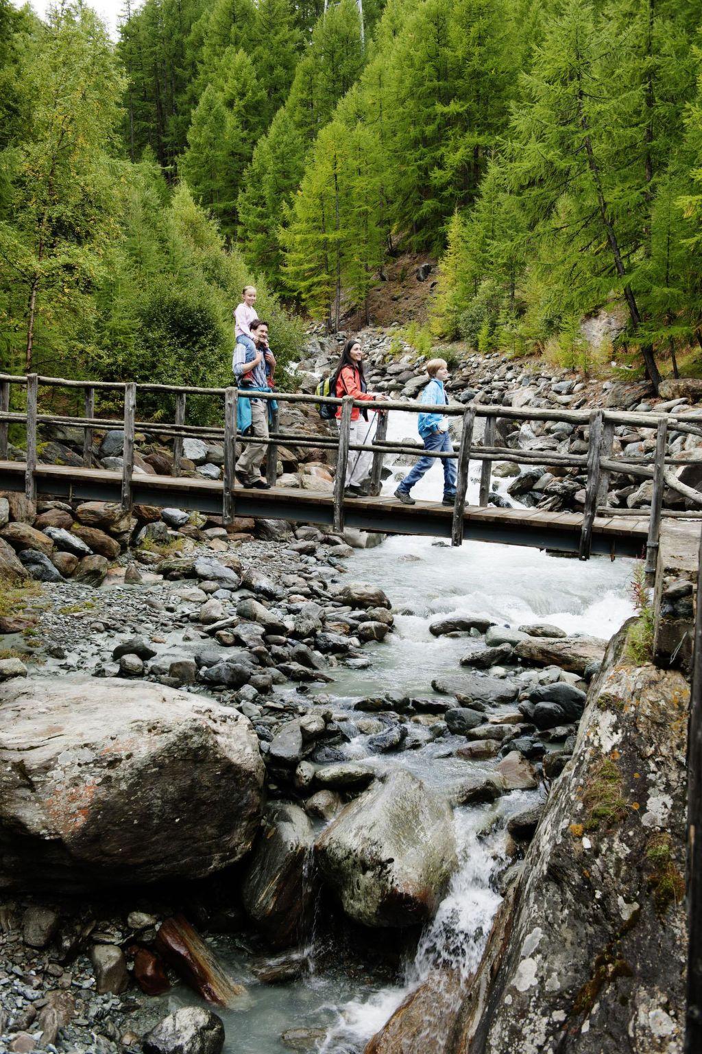 Foto 14 - Appartamento con 1 camera da letto a Saas-Fee