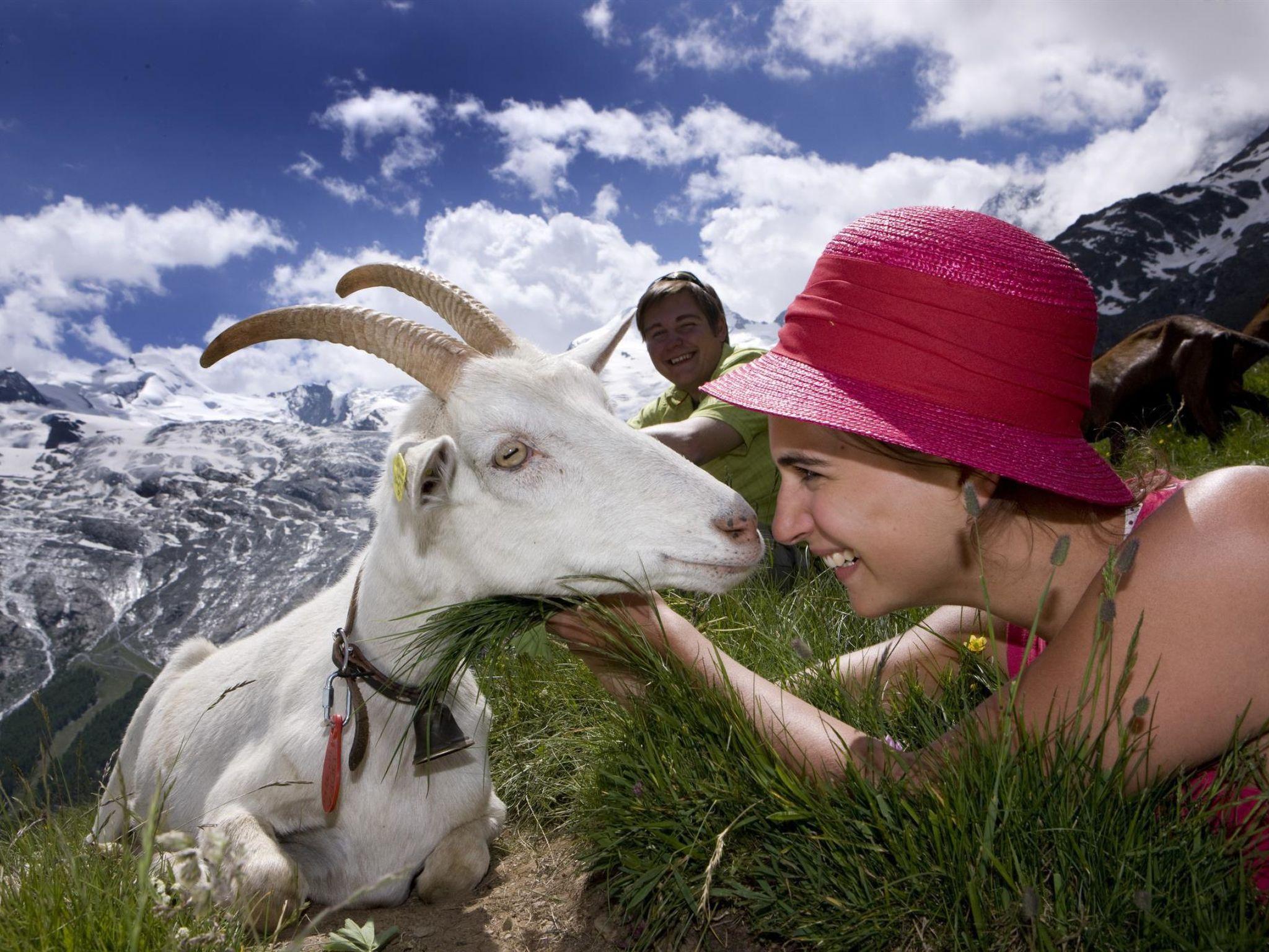 Foto 13 - Appartamento con 1 camera da letto a Saas-Fee