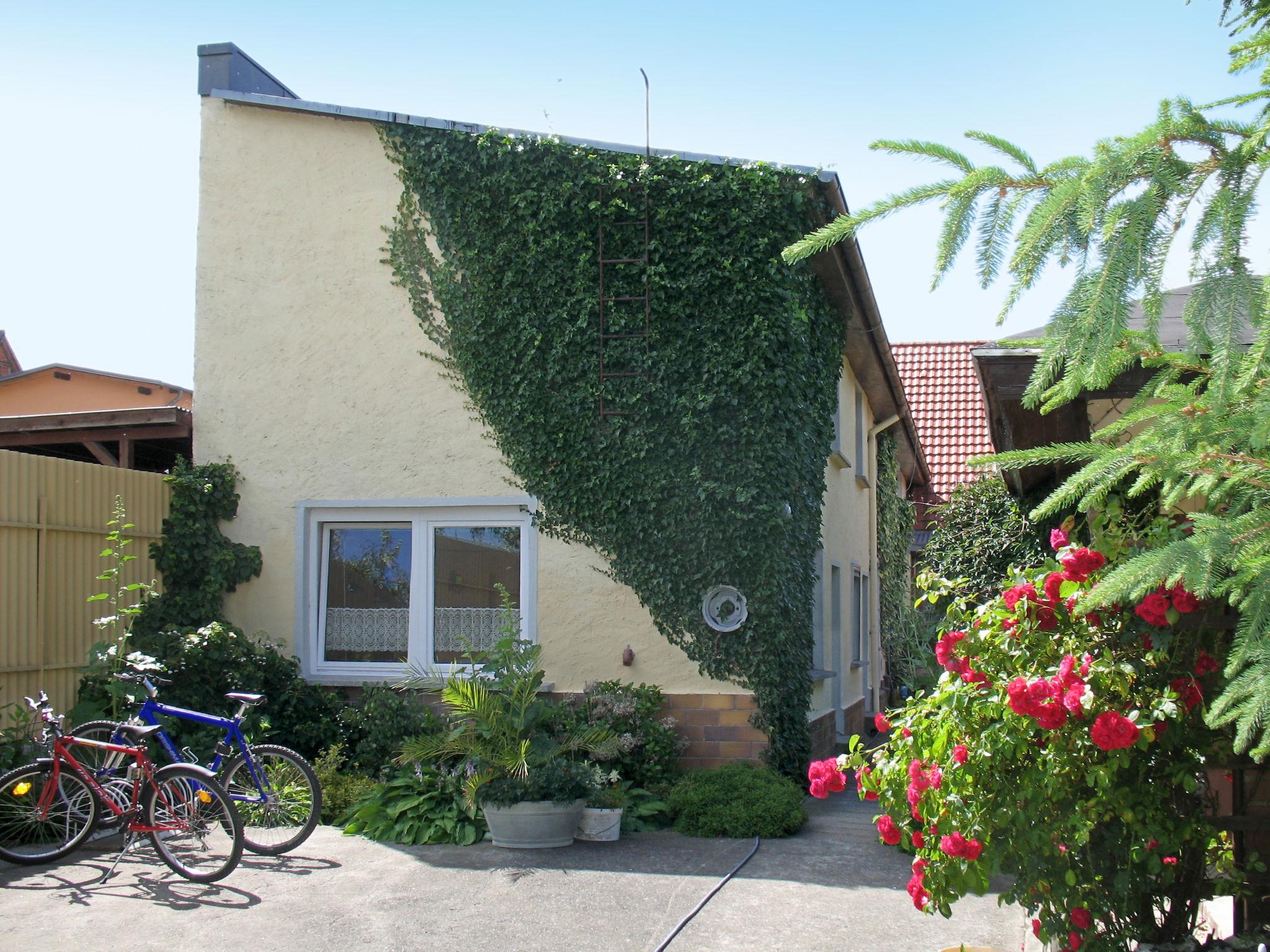 Photo 2 - Maison de 1 chambre à Garz/Rügen avec jardin et vues à la mer