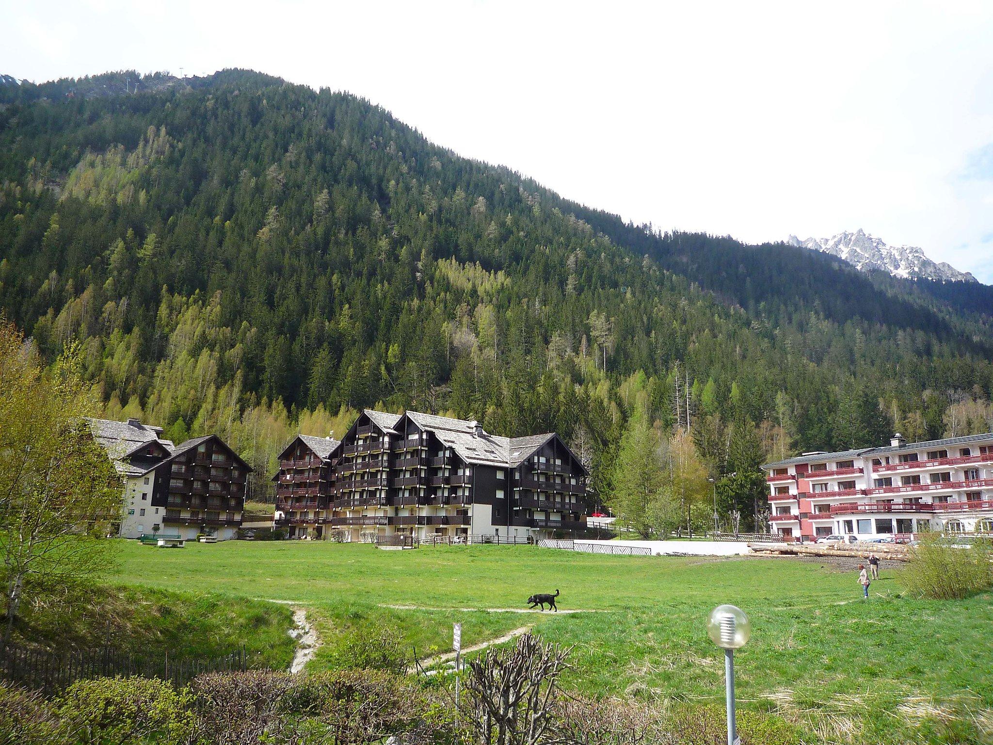 Foto 12 - Appartamento a Chamonix-Mont-Blanc con vista sulle montagne