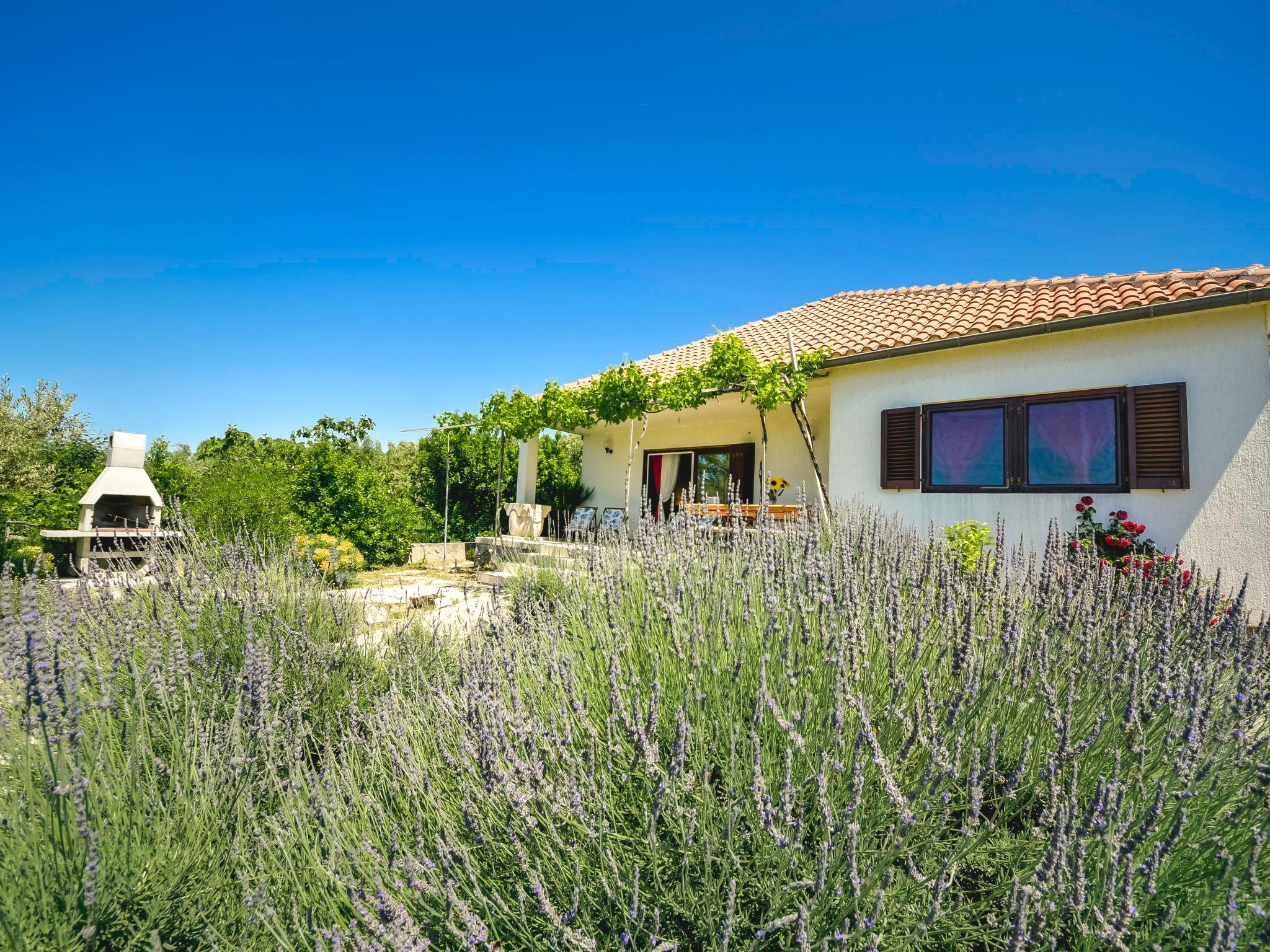 Photo 2 - Maison de 3 chambres à Murter avec jardin et terrasse