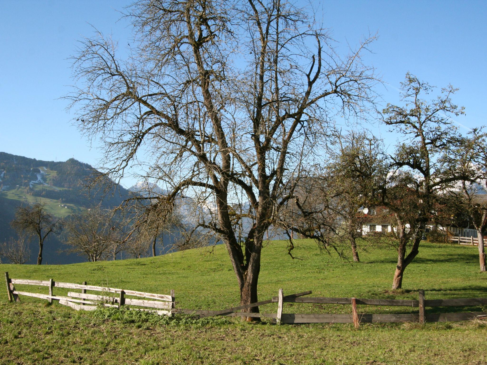 Foto 12 - Apartamento de 2 quartos em Hart im Zillertal com jardim e terraço