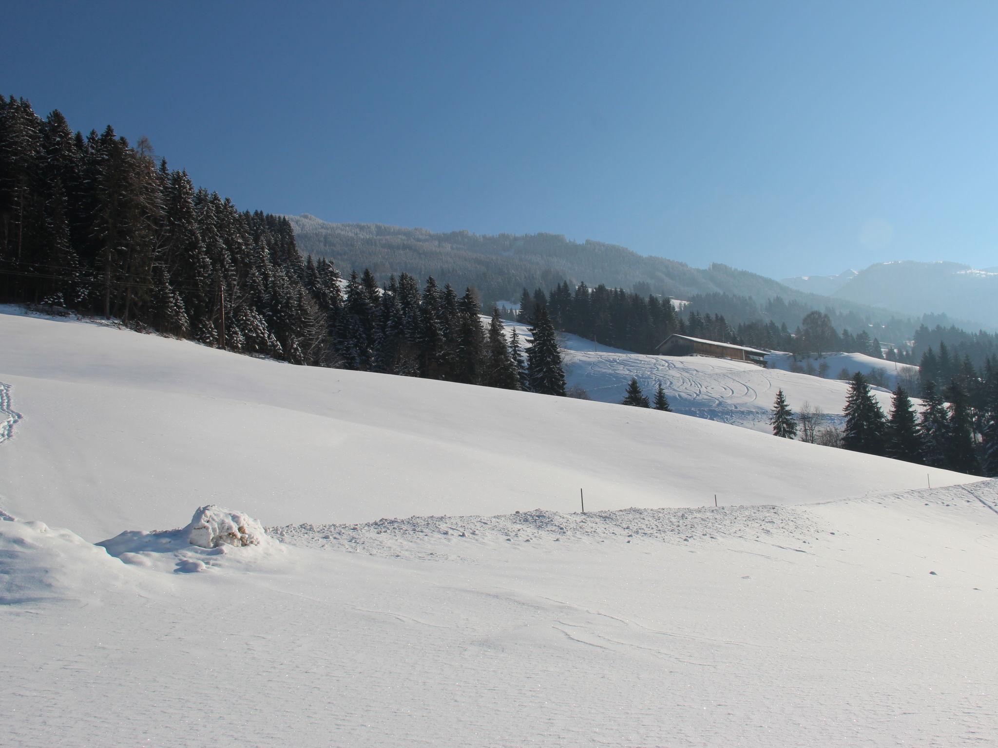 Photo 24 - Appartement de 2 chambres à Hart im Zillertal avec terrasse et vues sur la montagne