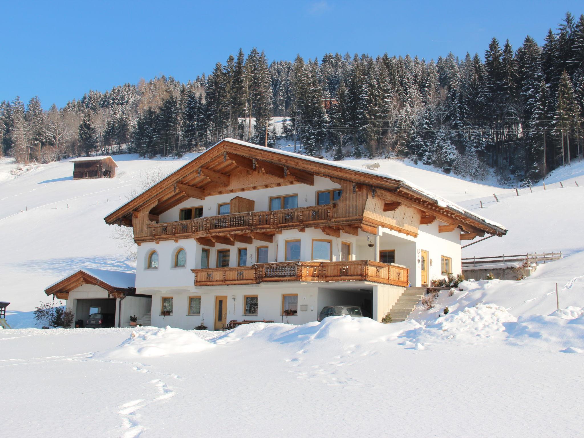 Photo 22 - Appartement de 2 chambres à Hart im Zillertal avec jardin et terrasse