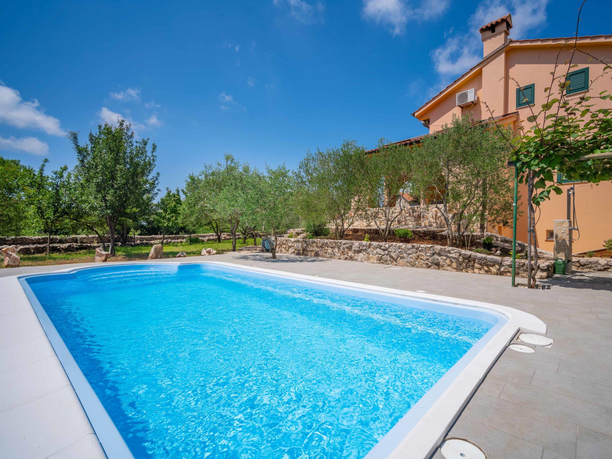 Photo 45 - Maison de 4 chambres à Dobrinj avec piscine privée et jardin