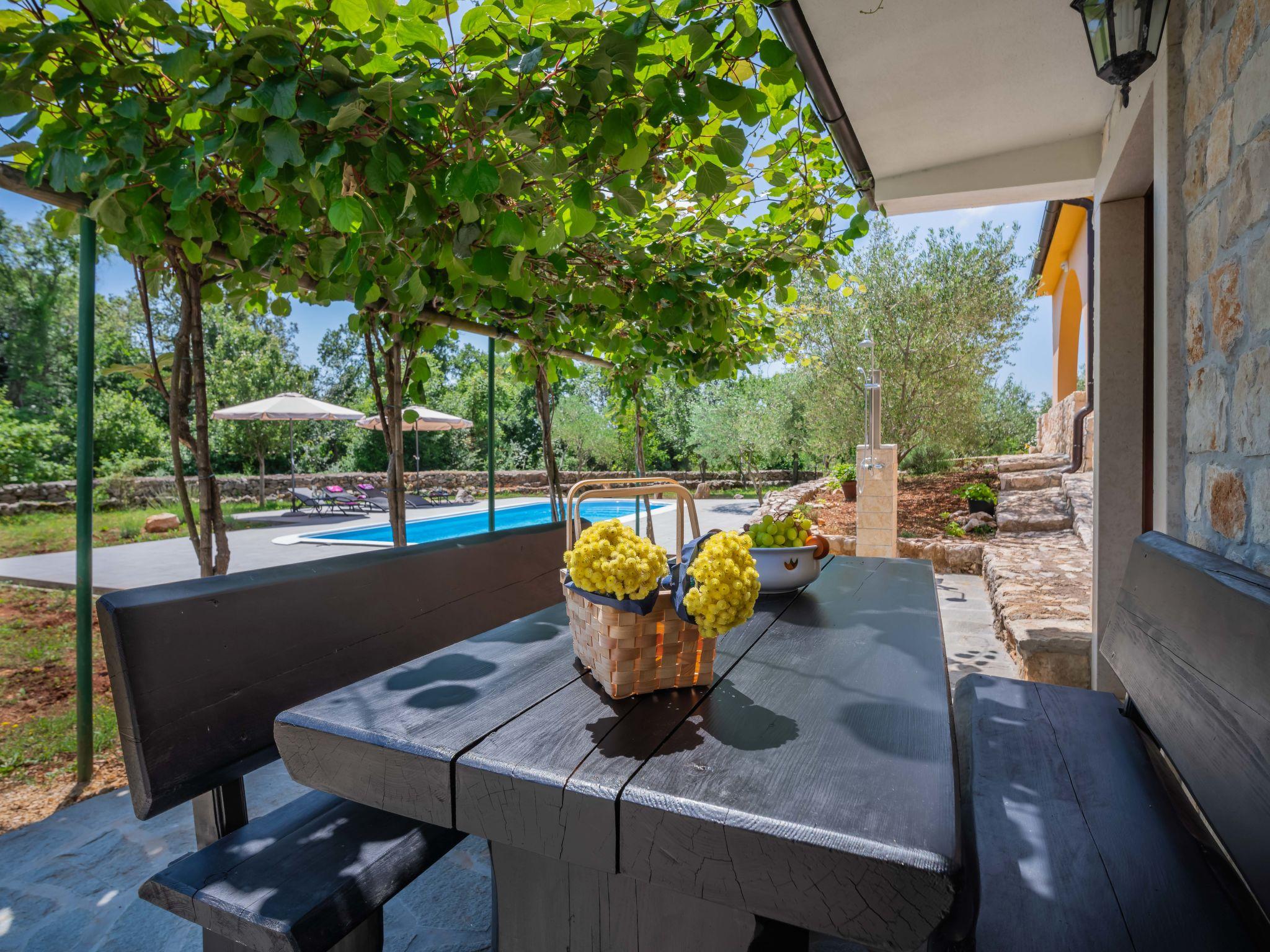 Photo 3 - Maison de 4 chambres à Dobrinj avec piscine privée et jardin