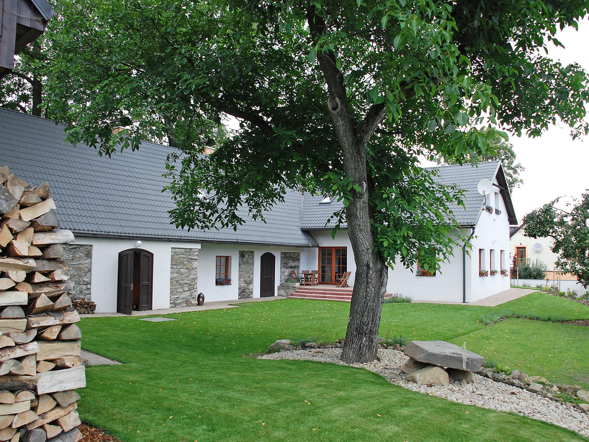 Photo 37 - Maison de 5 chambres à Holetín avec piscine privée et jardin