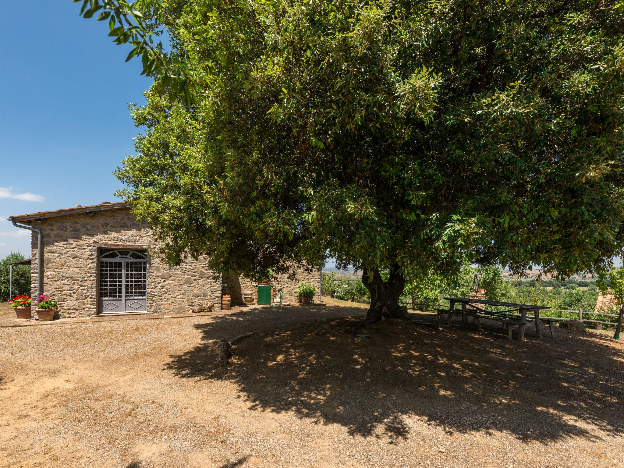 Foto 38 - Casa con 3 camere da letto a Scansano con piscina privata e vista mare