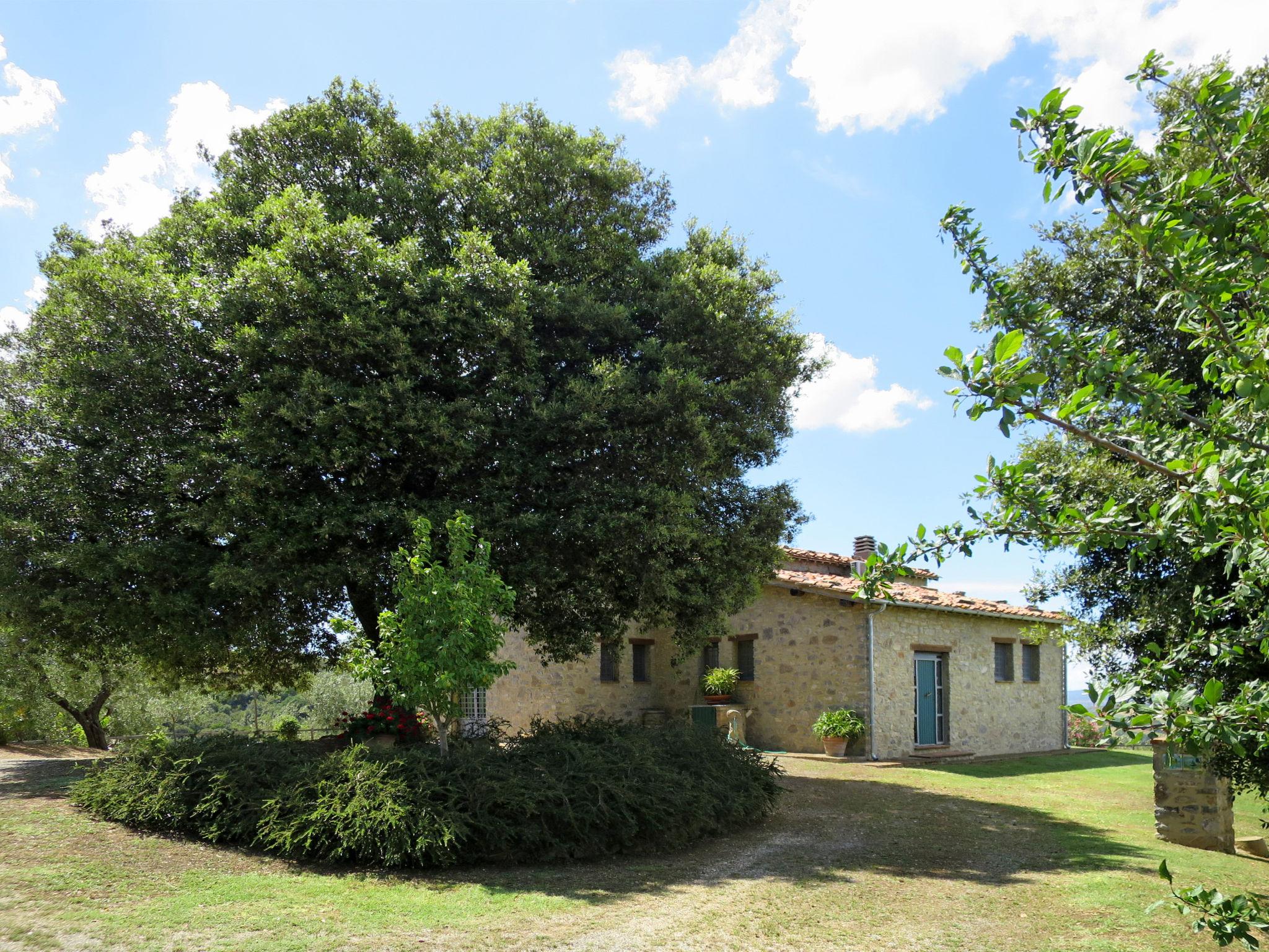 Foto 29 - Casa con 3 camere da letto a Scansano con piscina privata e giardino