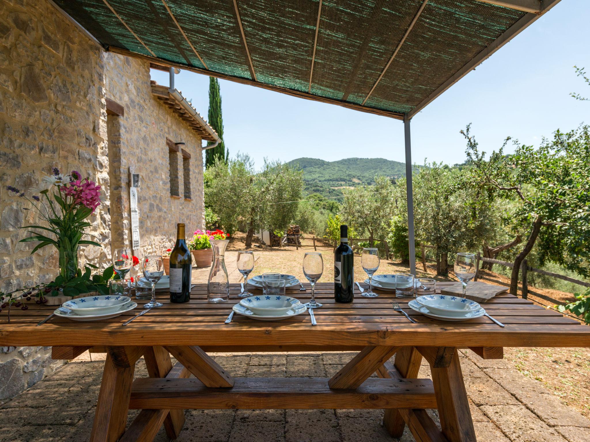 Foto 4 - Casa con 3 camere da letto a Scansano con piscina privata e giardino