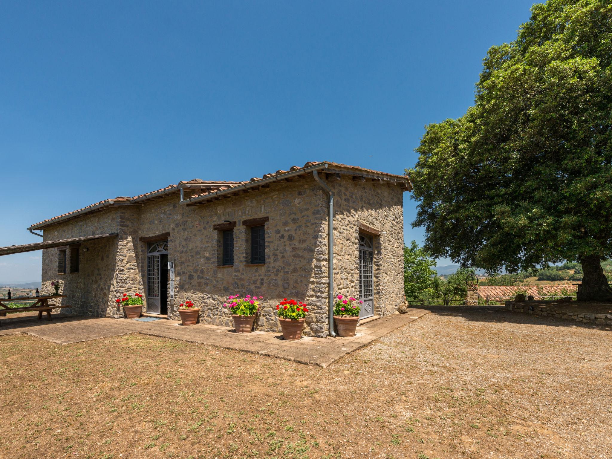 Foto 37 - Casa con 3 camere da letto a Scansano con piscina privata e giardino