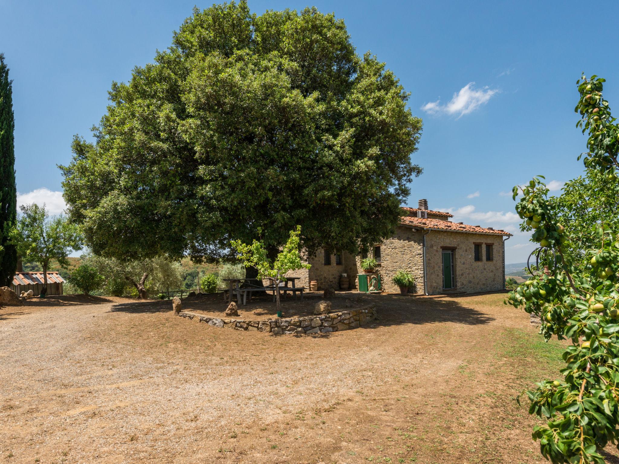 Foto 35 - Casa con 3 camere da letto a Scansano con piscina privata e giardino