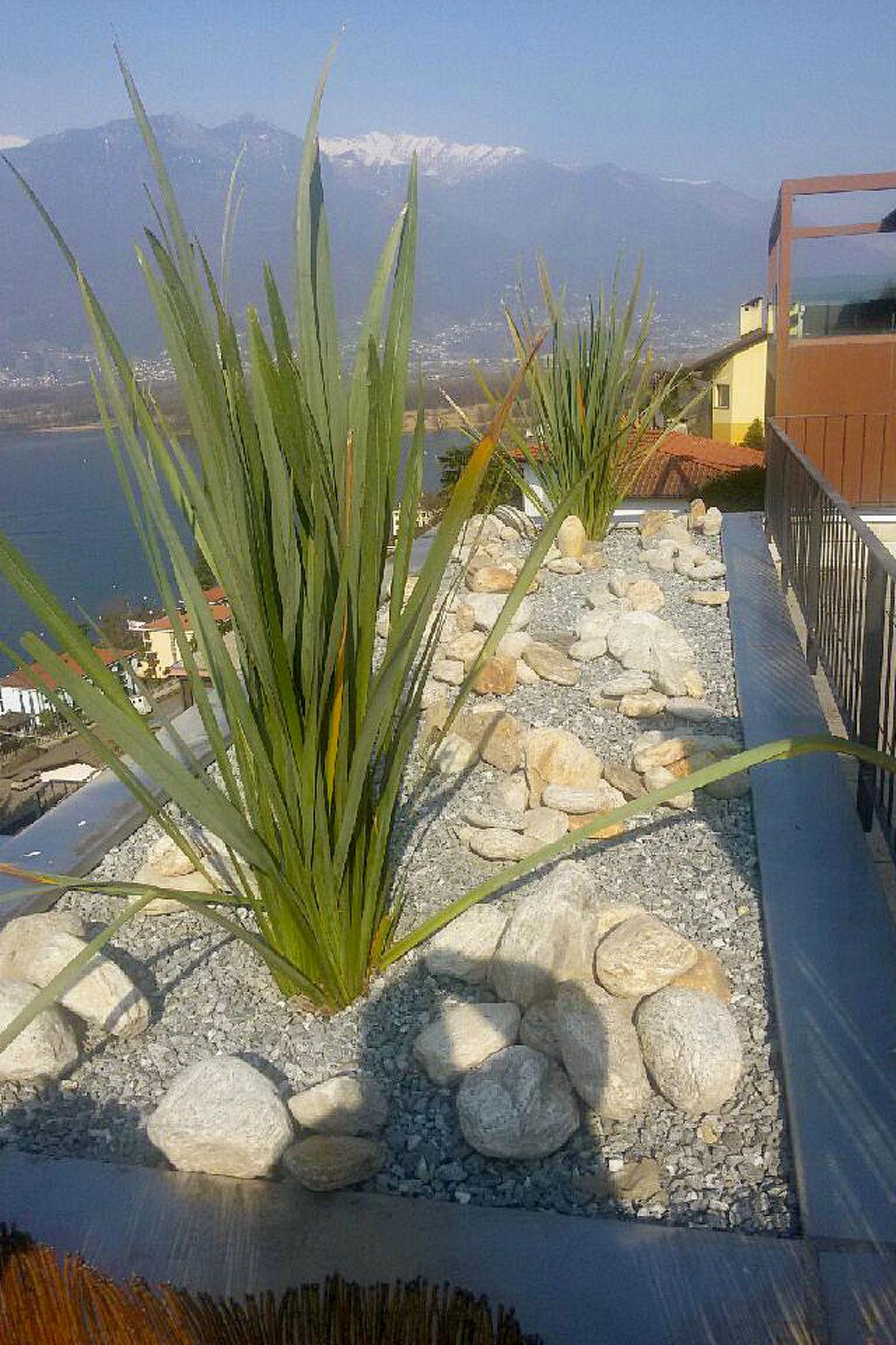 Photo 23 - 2 bedroom Apartment in Gambarogno with swimming pool and garden