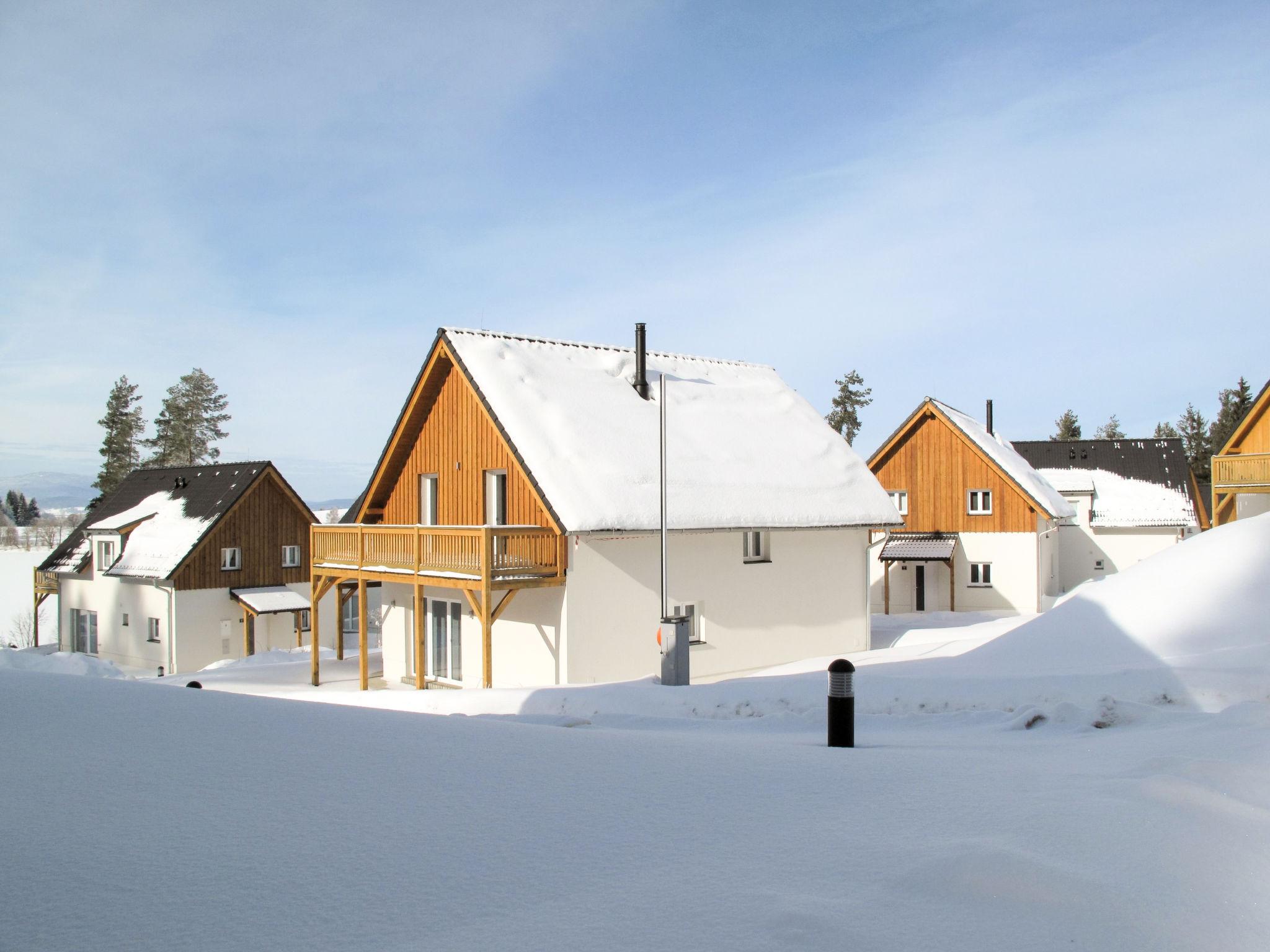 Photo 31 - Maison de 2 chambres à Frymburk avec terrasse et vues sur la montagne