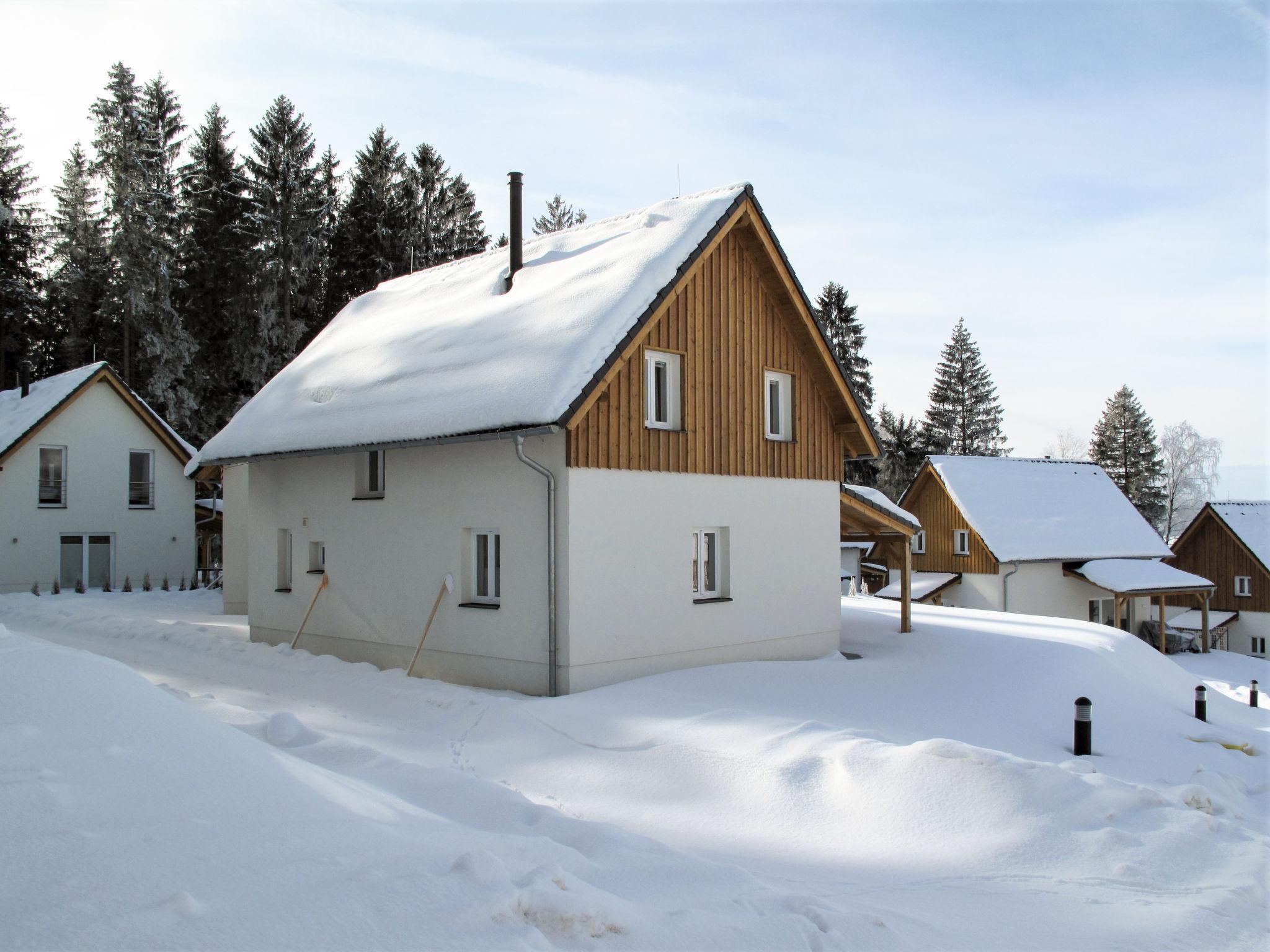 Foto 30 - Casa de 2 quartos em Frymburk com terraço e vista para a montanha