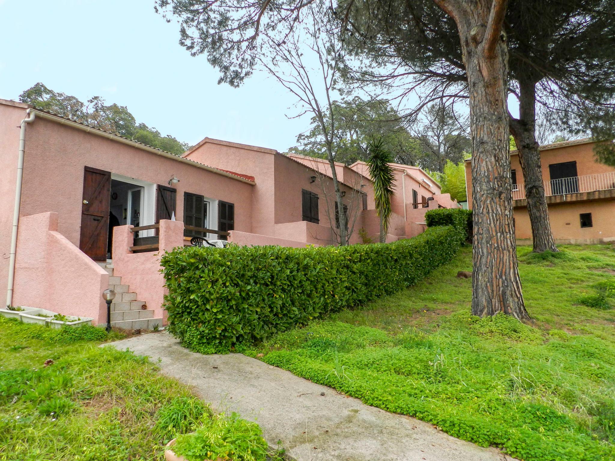 Photo 16 - Maison de 2 chambres à San-Nicolao avec piscine et jardin