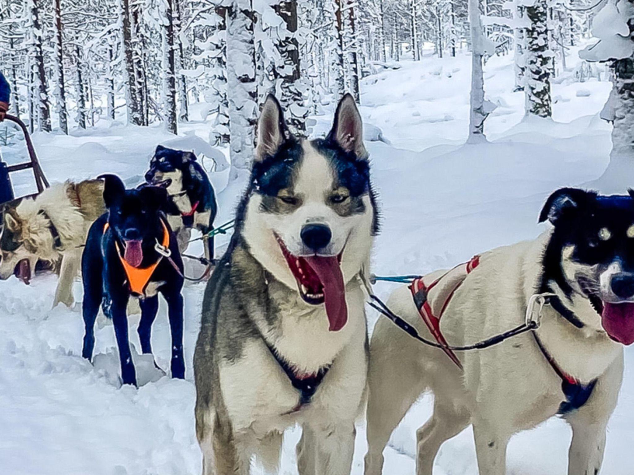 Foto 43 - Haus mit 2 Schlafzimmern in Rovaniemi mit sauna