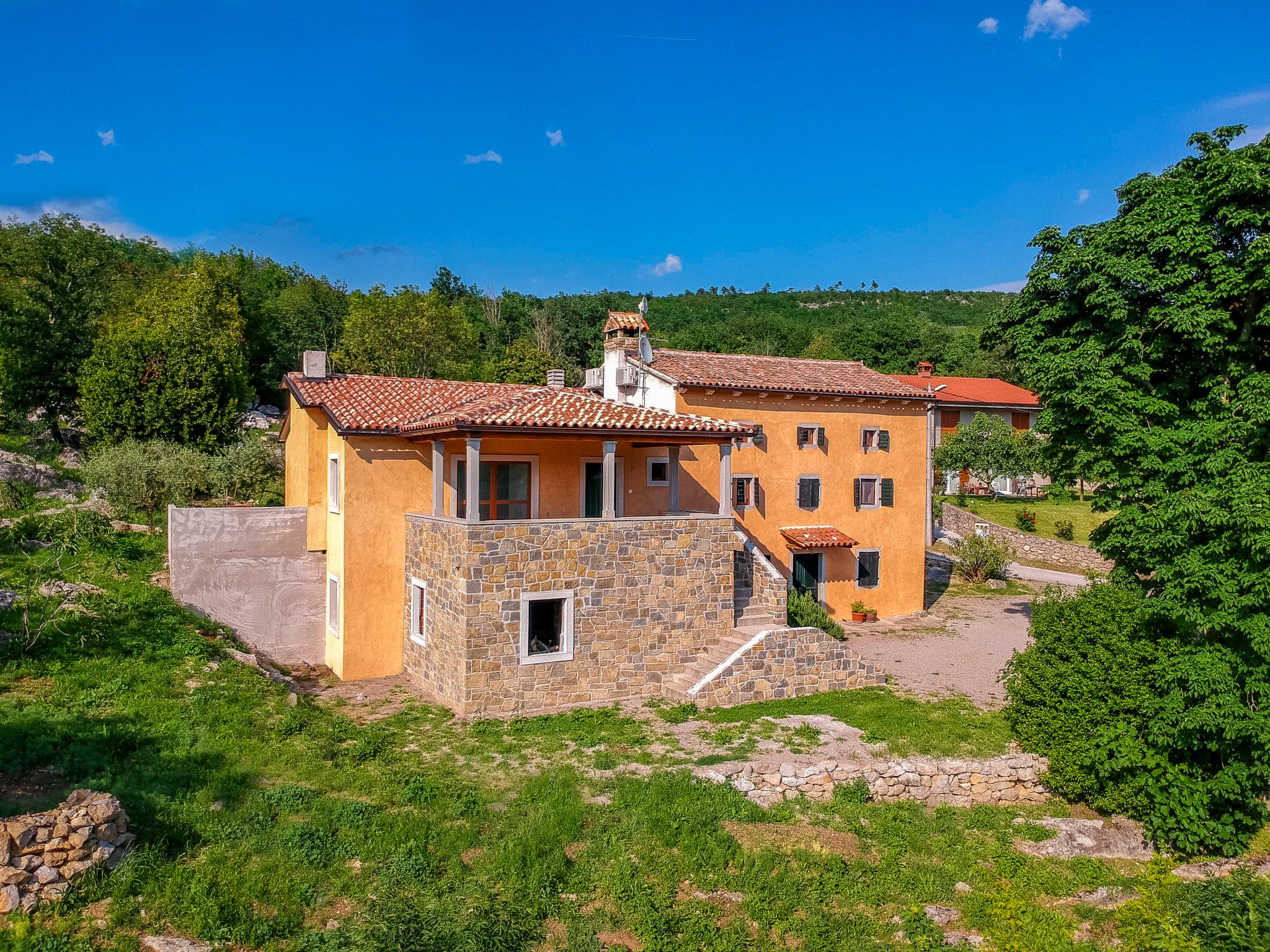 Foto 19 - Casa con 2 camere da letto a Buzet con piscina privata e giardino