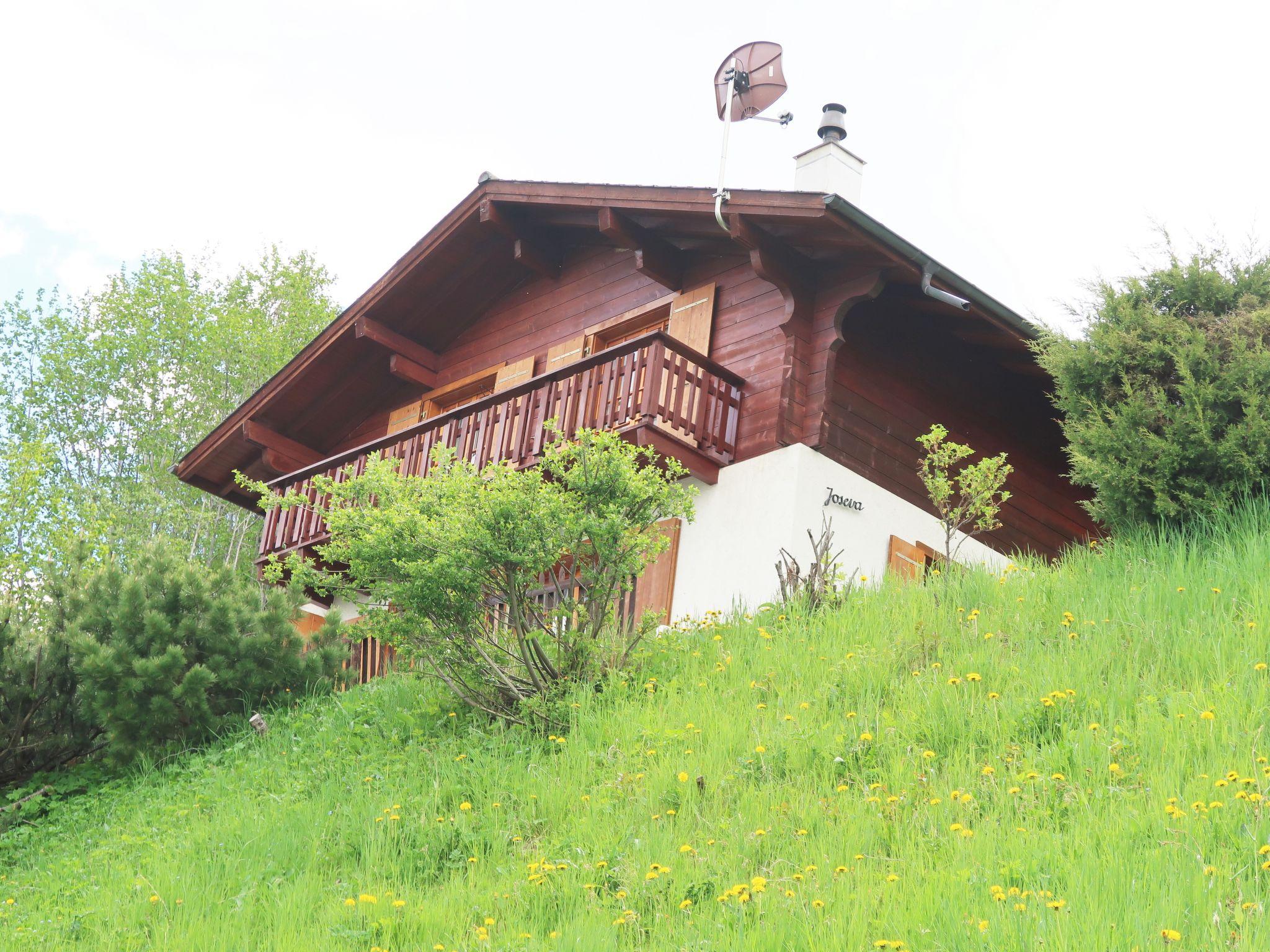 Foto 1 - Casa de 3 habitaciones en Nendaz con jardín y vistas a la montaña