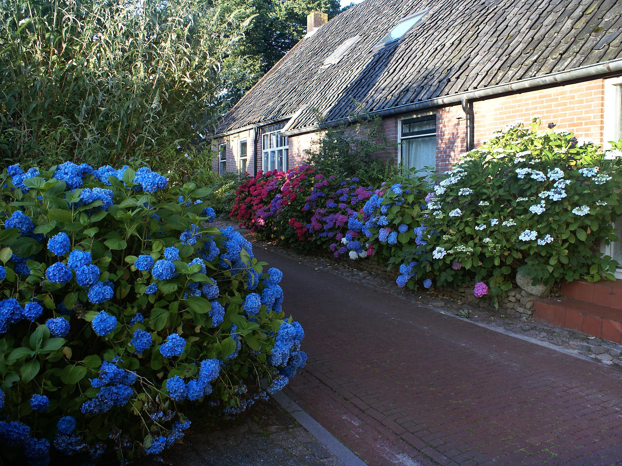 Photo 1 - Maison de 5 chambres à Diever avec jardin et terrasse