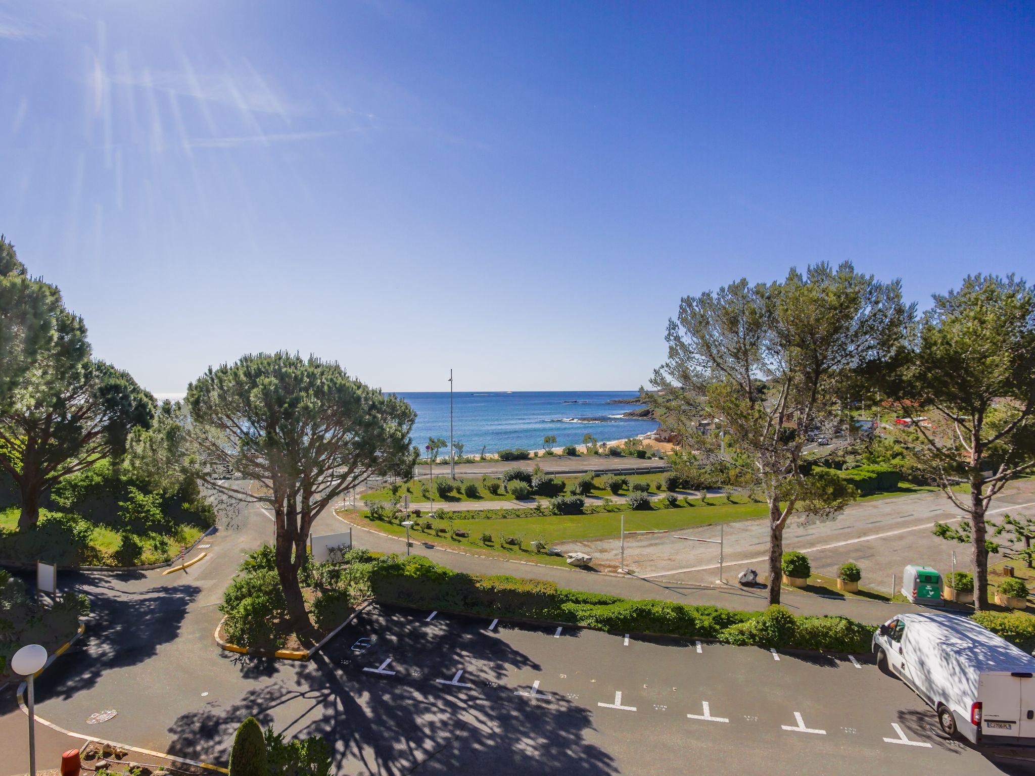 Foto 5 - Apartamento de 1 habitación en Roquebrune-sur-Argens con piscina y vistas al mar