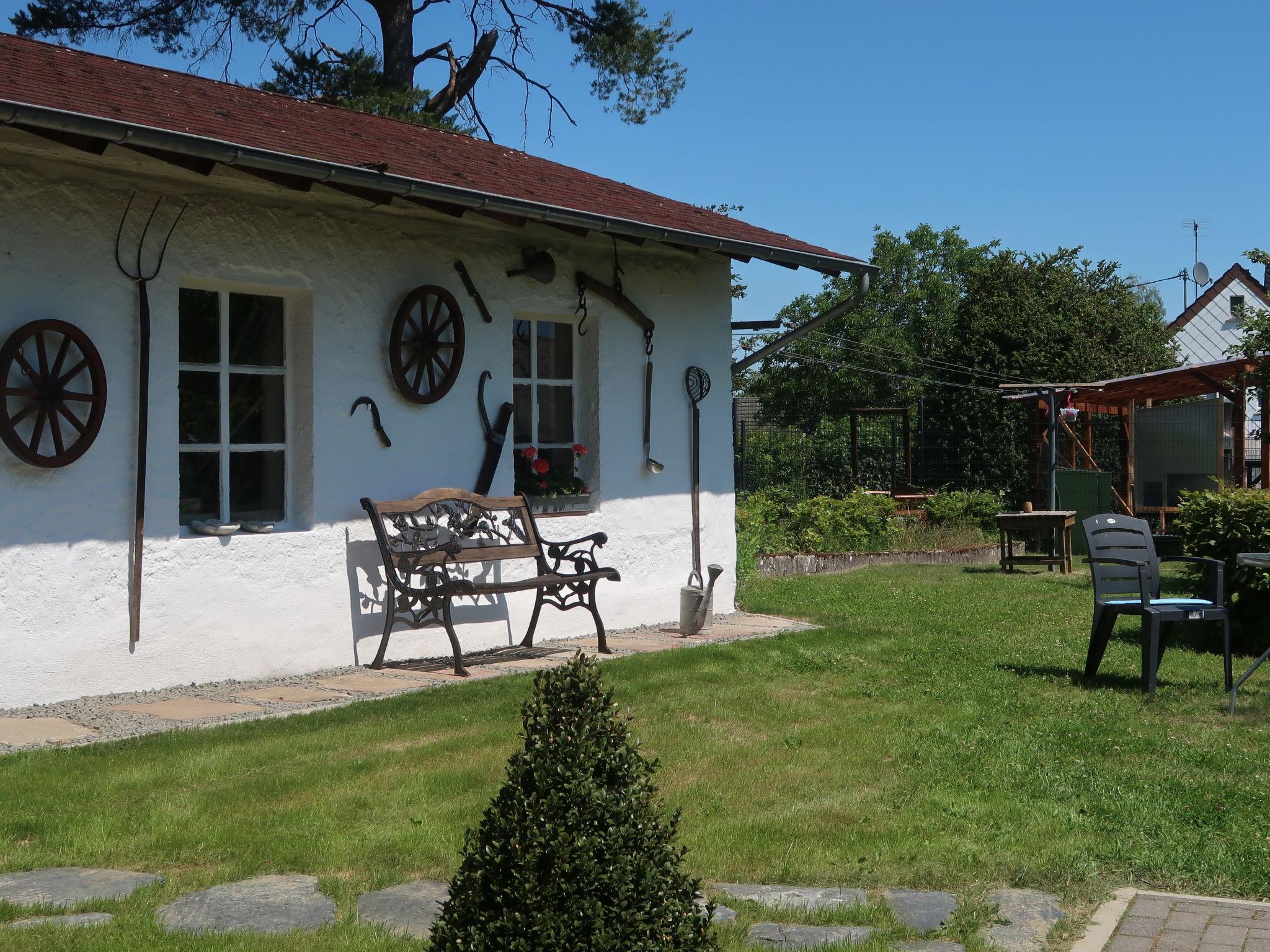 Photo 21 - Maison de 3 chambres à Manderscheid avec jardin et terrasse