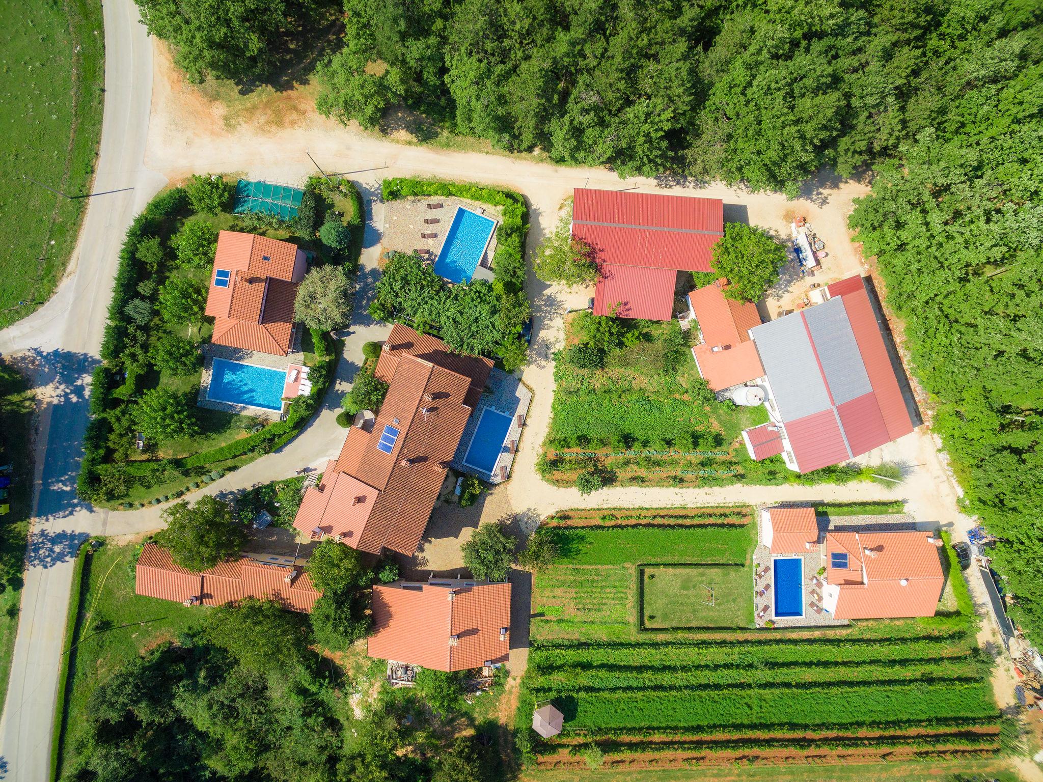 Photo 61 - Maison de 5 chambres à Žminj avec piscine privée et jardin