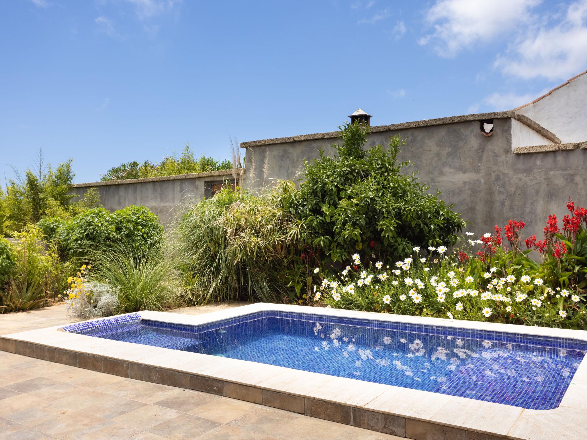 Photo 14 - Maison de 1 chambre à El Rosario avec piscine privée et jardin