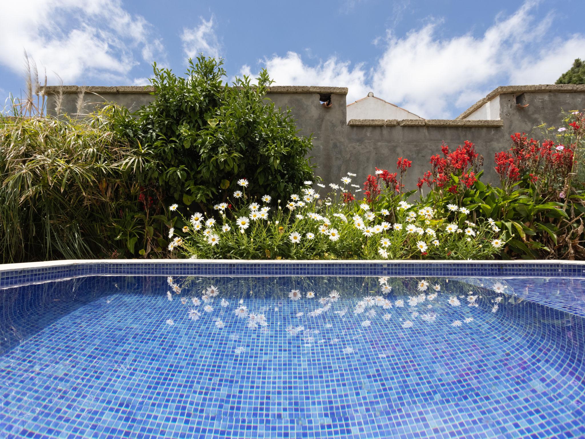 Photo 13 - Maison de 1 chambre à El Rosario avec piscine privée et jardin