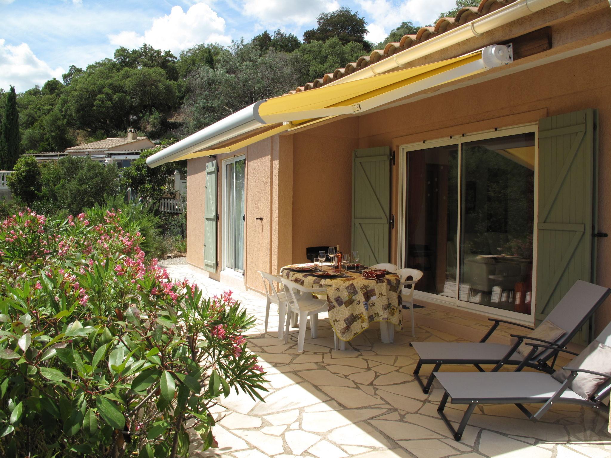 Foto 2 - Haus mit 2 Schlafzimmern in Le Muy mit schwimmbad und terrasse