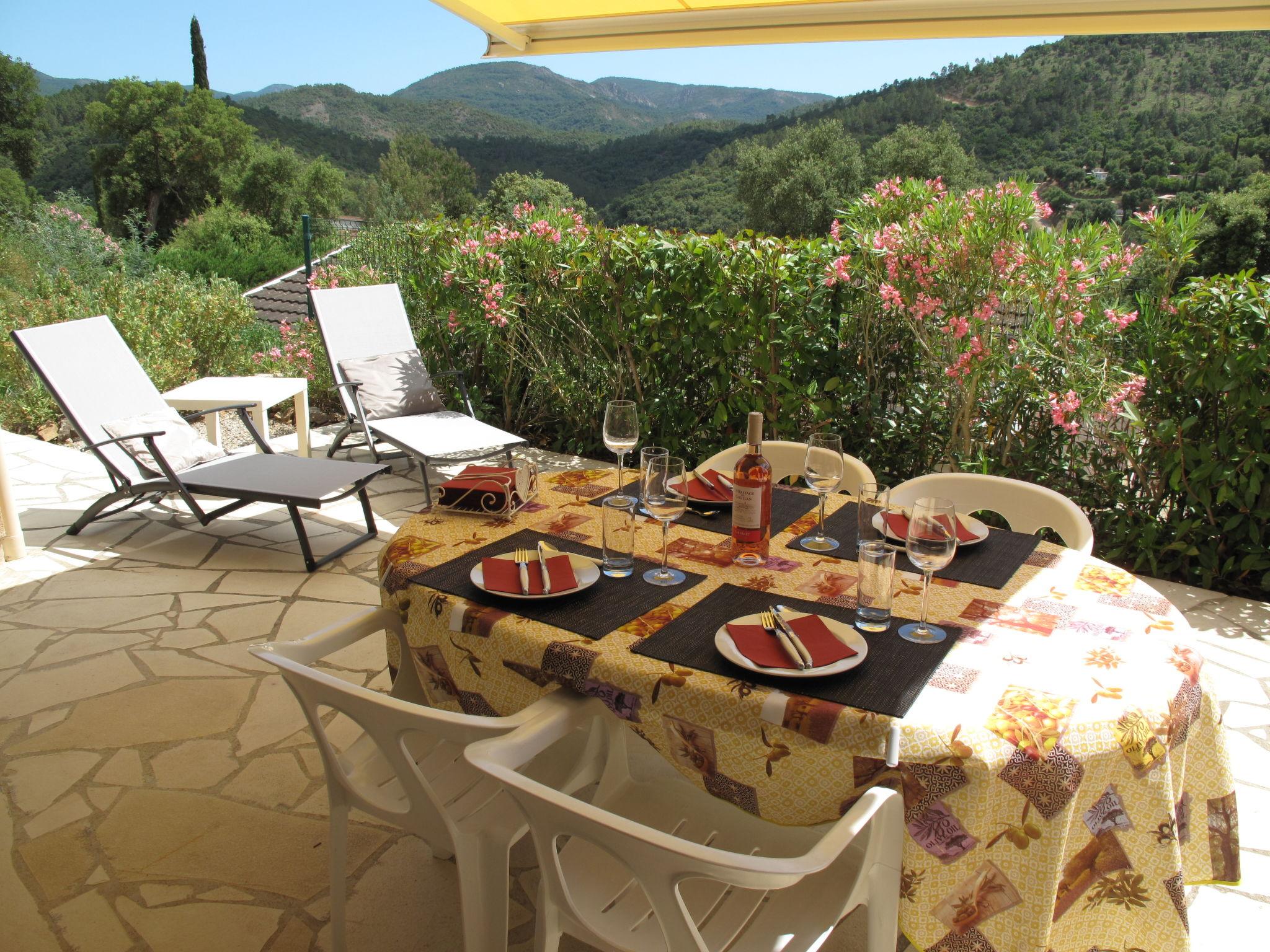 Photo 3 - Maison de 2 chambres à Le Muy avec piscine et terrasse