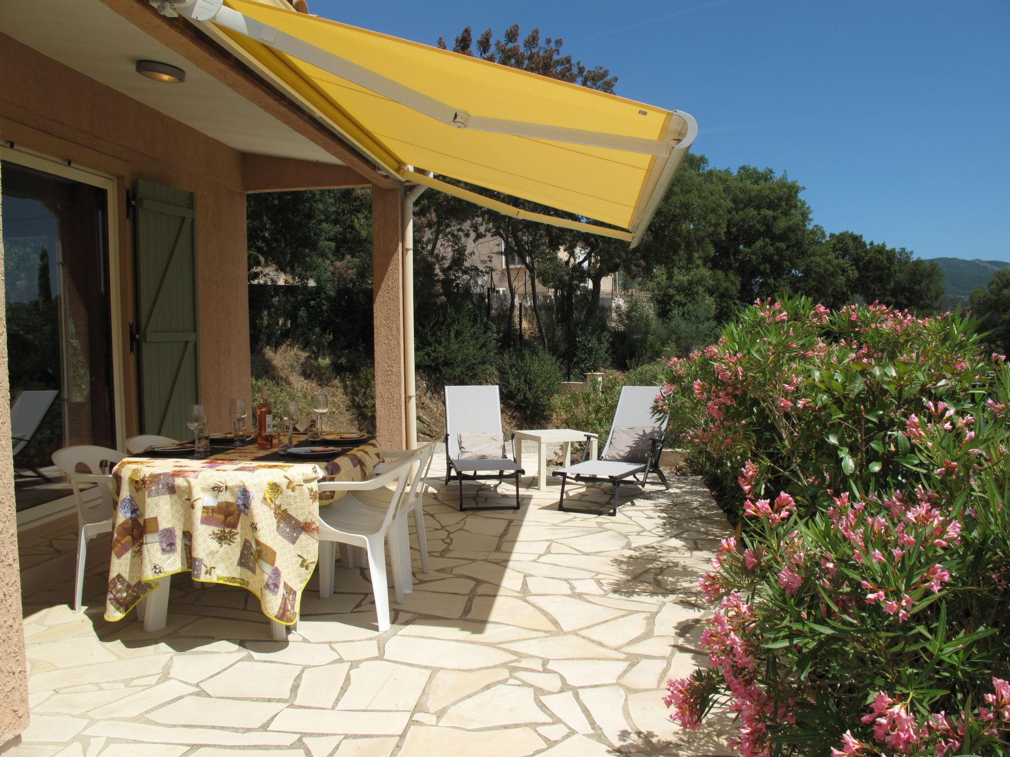 Photo 7 - Maison de 2 chambres à Le Muy avec piscine et jardin