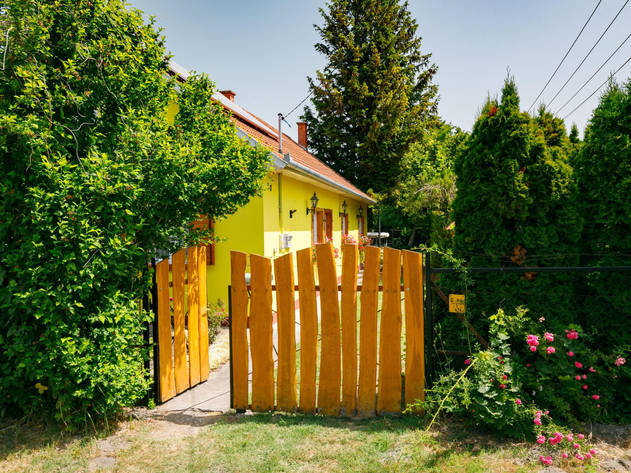 Photo 24 - 3 bedroom House in Balatonfenyves with garden and terrace