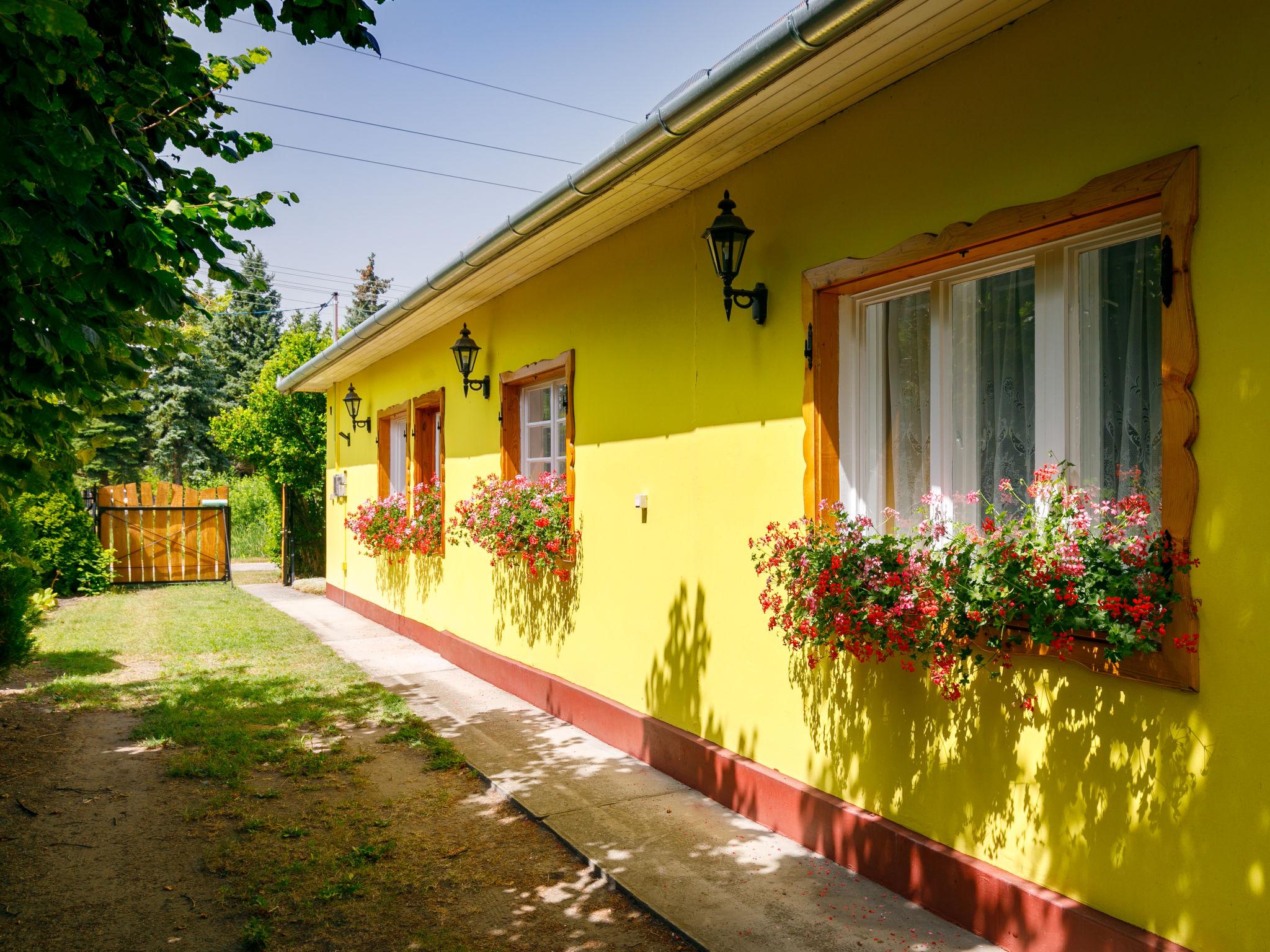 Photo 22 - Maison de 3 chambres à Balatonfenyves avec jardin et terrasse