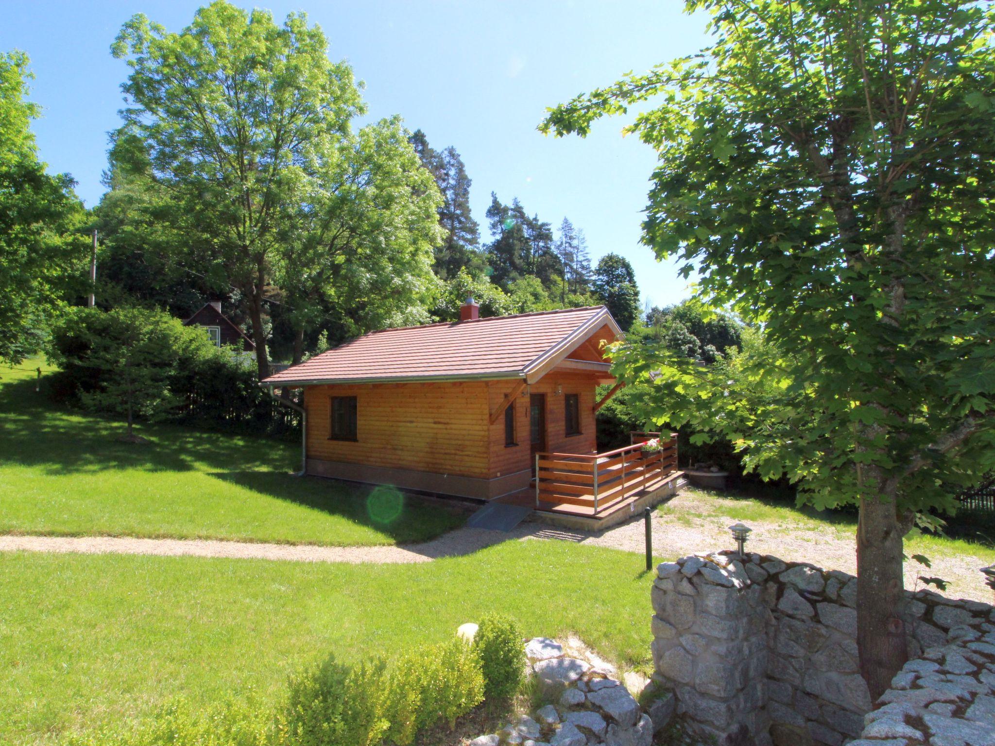 Photo 16 - Maison de 1 chambre à Bečov nad Teplou avec jardin et terrasse