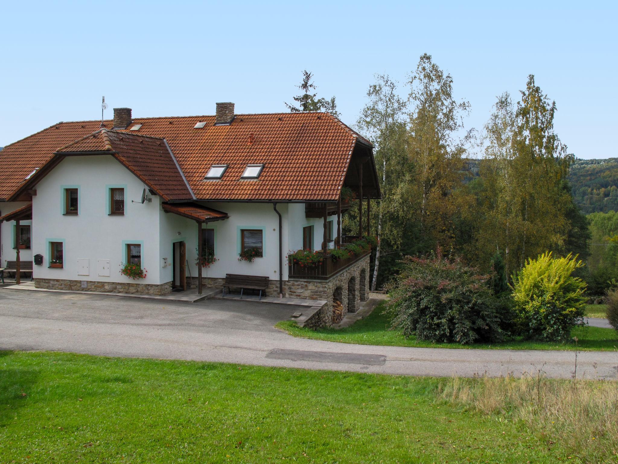 Photo 28 - Maison de 2 chambres à Nebahovy avec terrasse et sauna