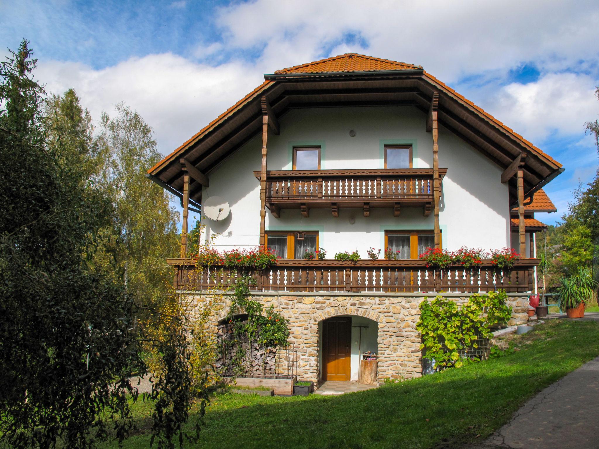 Photo 1 - Maison de 2 chambres à Nebahovy avec terrasse et sauna