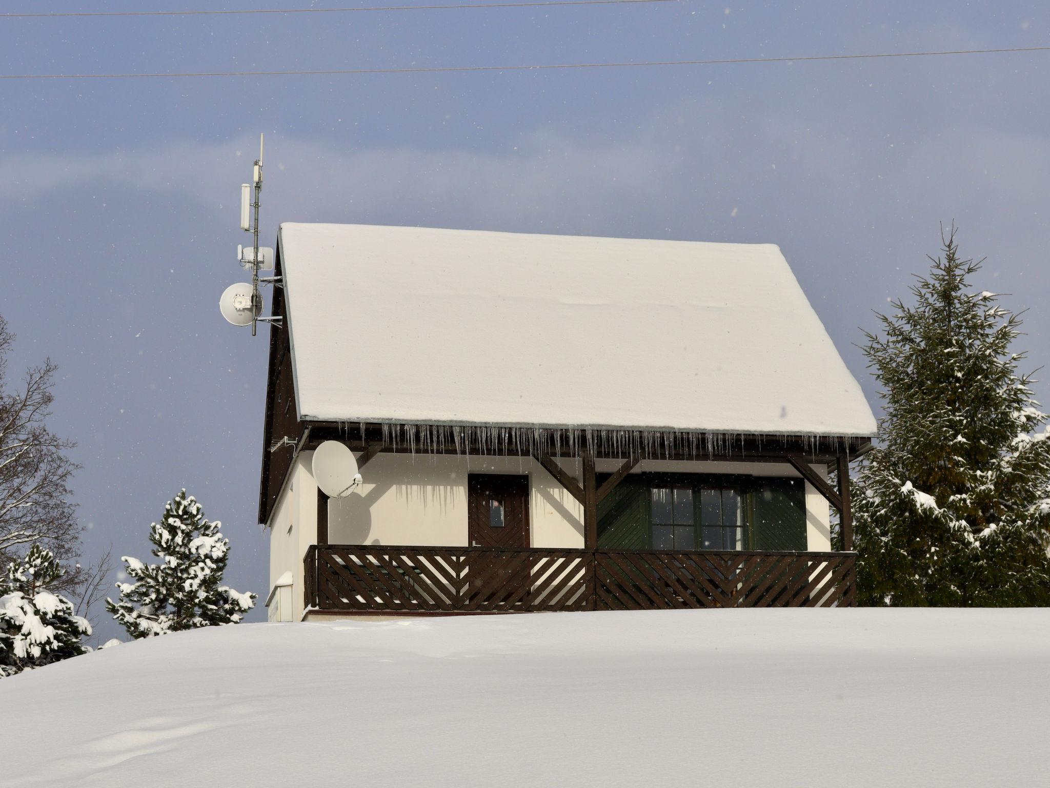 Foto 25 - Casa con 3 camere da letto a Černý Důl con piscina e giardino