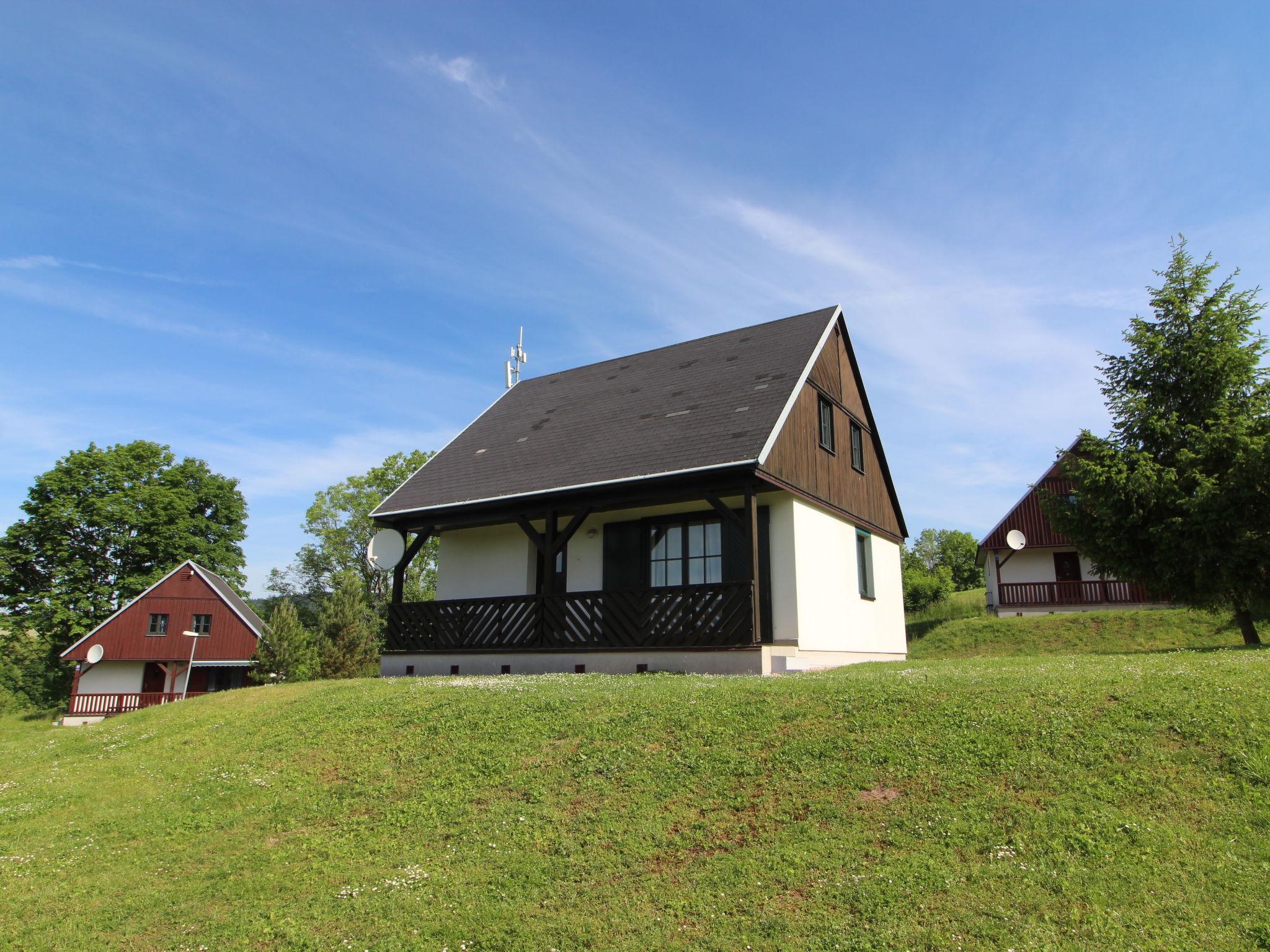 Foto 1 - Casa de 3 habitaciones en Černý Důl con piscina y vistas a la montaña