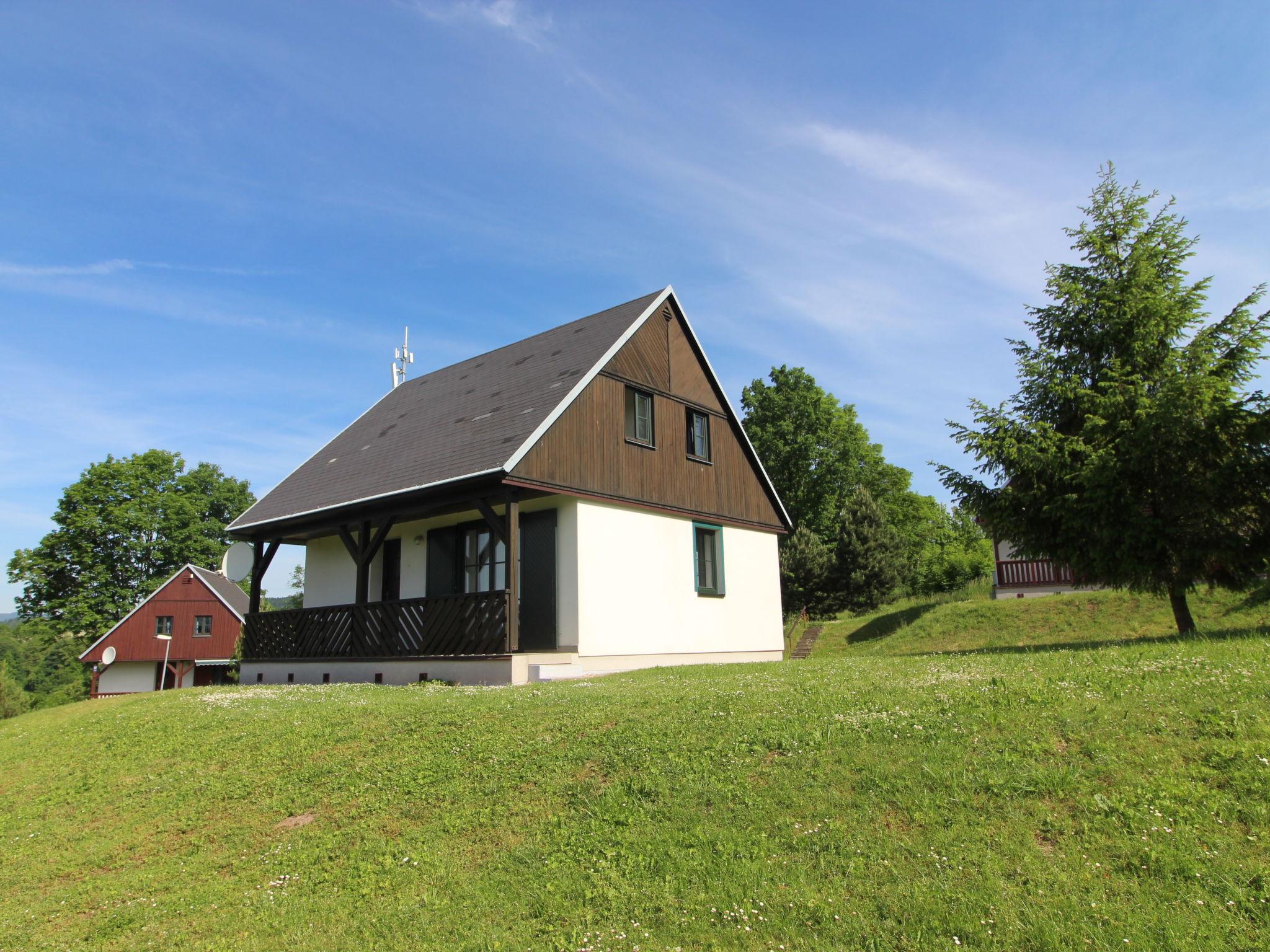 Foto 19 - Haus mit 3 Schlafzimmern in Černý Důl mit schwimmbad und blick auf die berge