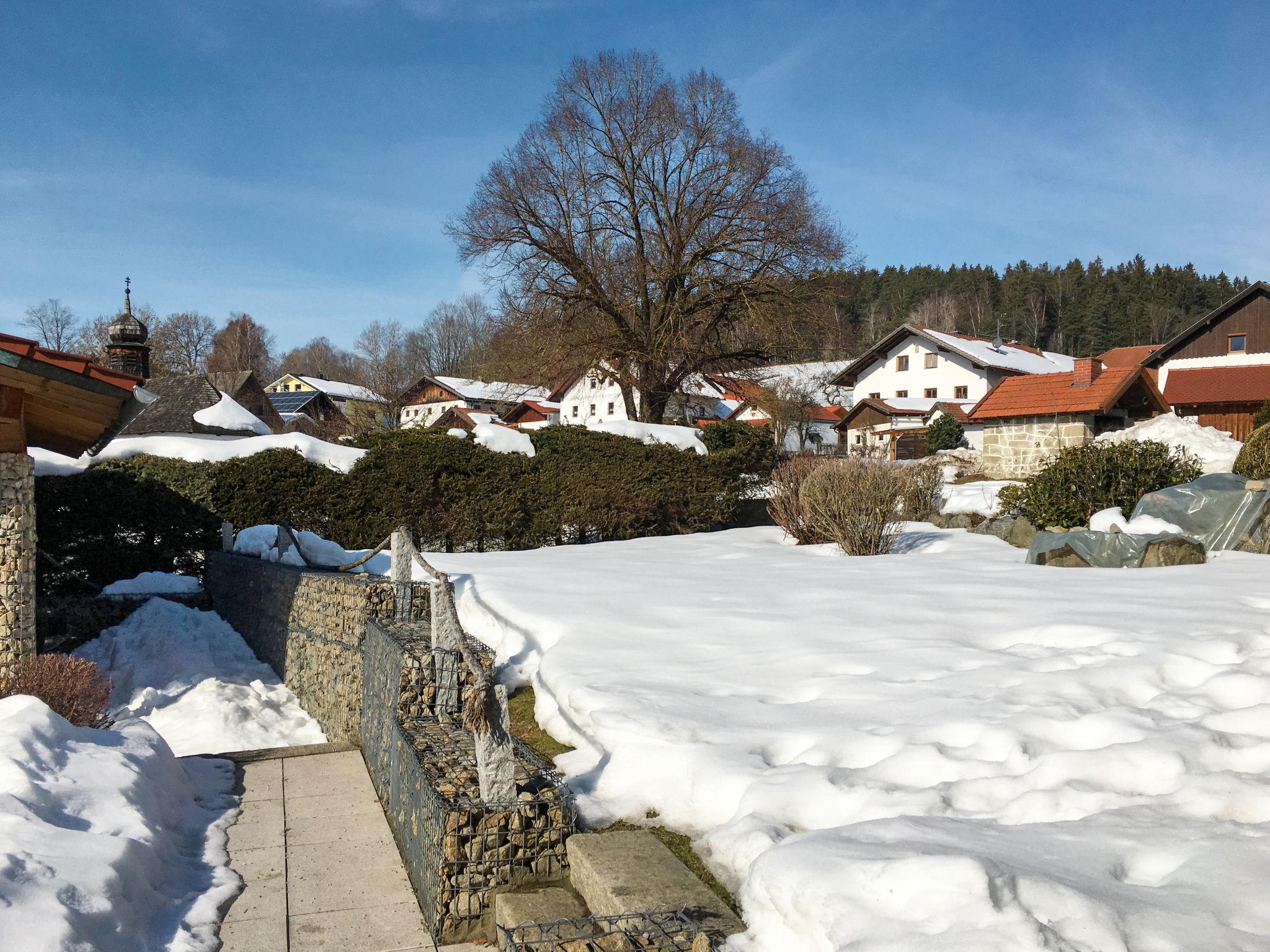 Foto 24 - Casa de 2 habitaciones en Bischofsmais con jardín y vistas a la montaña