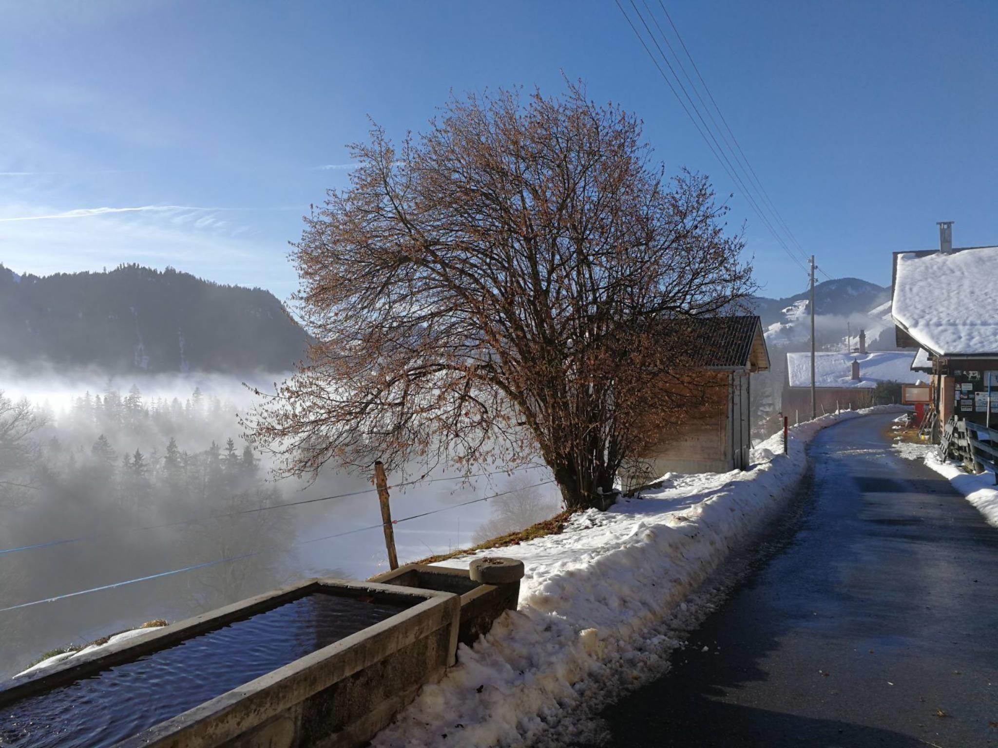 Photo 16 - 5 bedroom Apartment in Boltigen with garden and mountain view