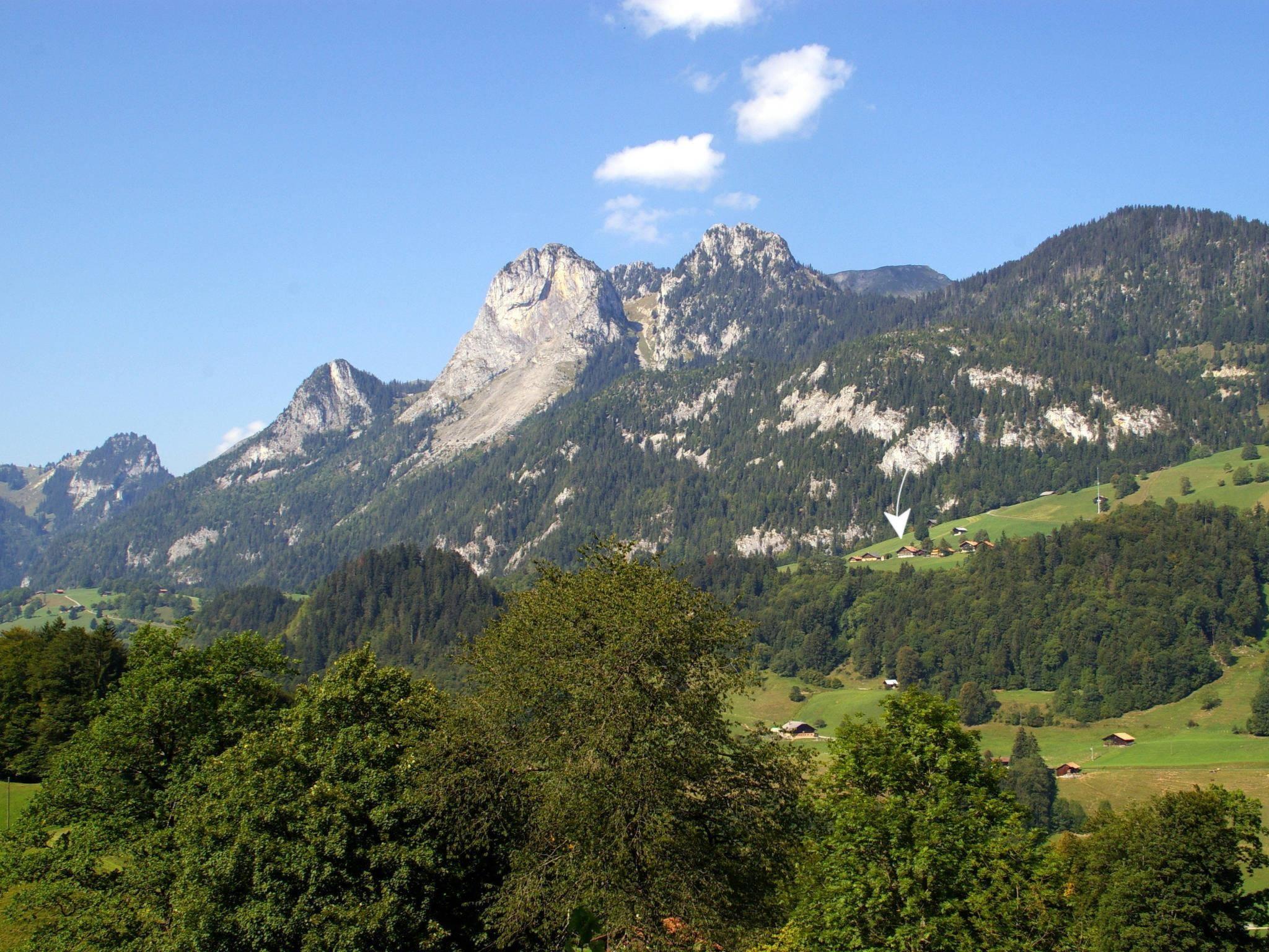 Photo 10 - Appartement de 5 chambres à Boltigen avec jardin et vues sur la montagne