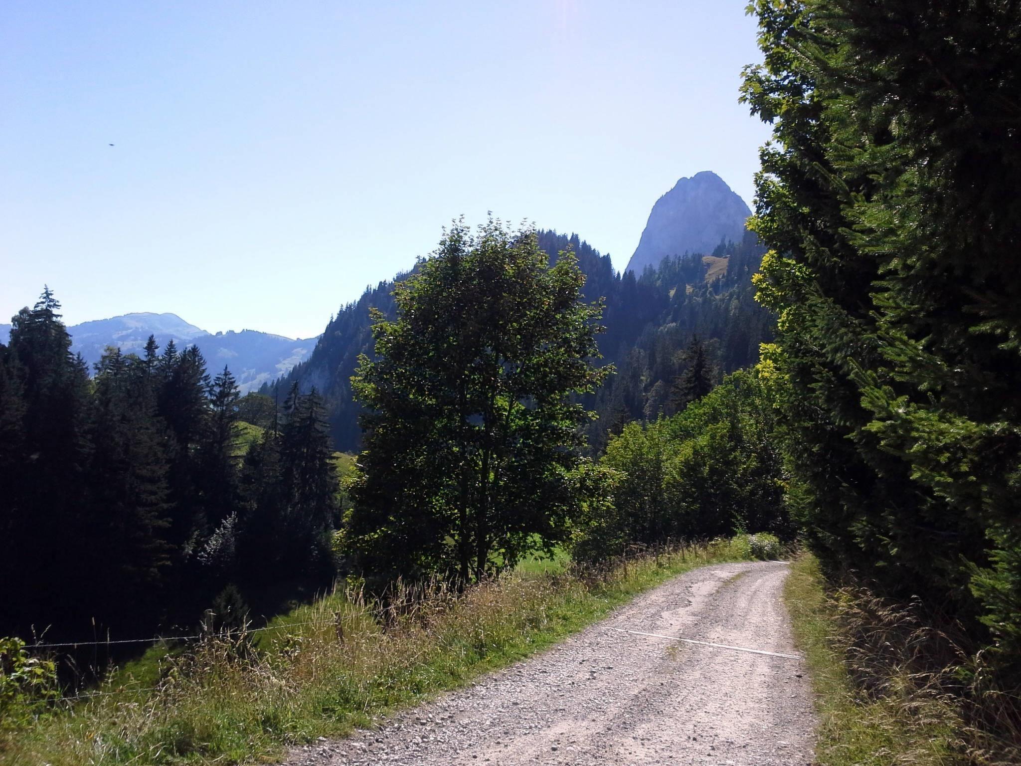 Photo 12 - 5 bedroom Apartment in Boltigen with garden and mountain view