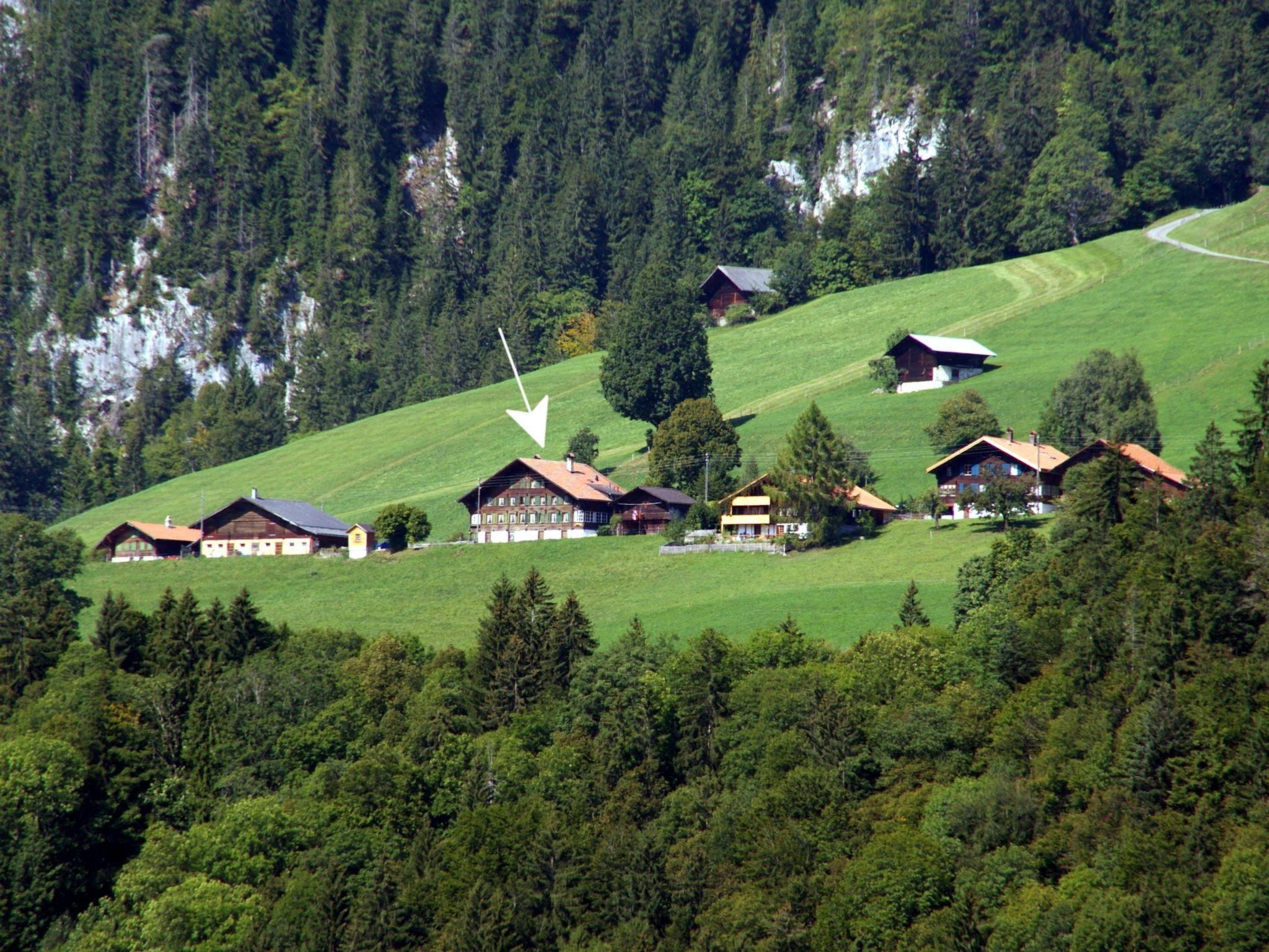 Photo 11 - Appartement de 5 chambres à Boltigen avec jardin et vues sur la montagne