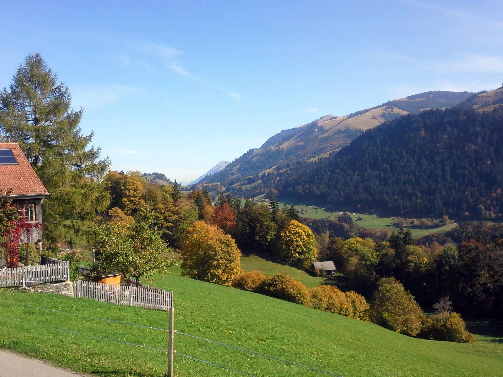 Foto 8 - Appartamento con 5 camere da letto a Boltigen con giardino e vista sulle montagne