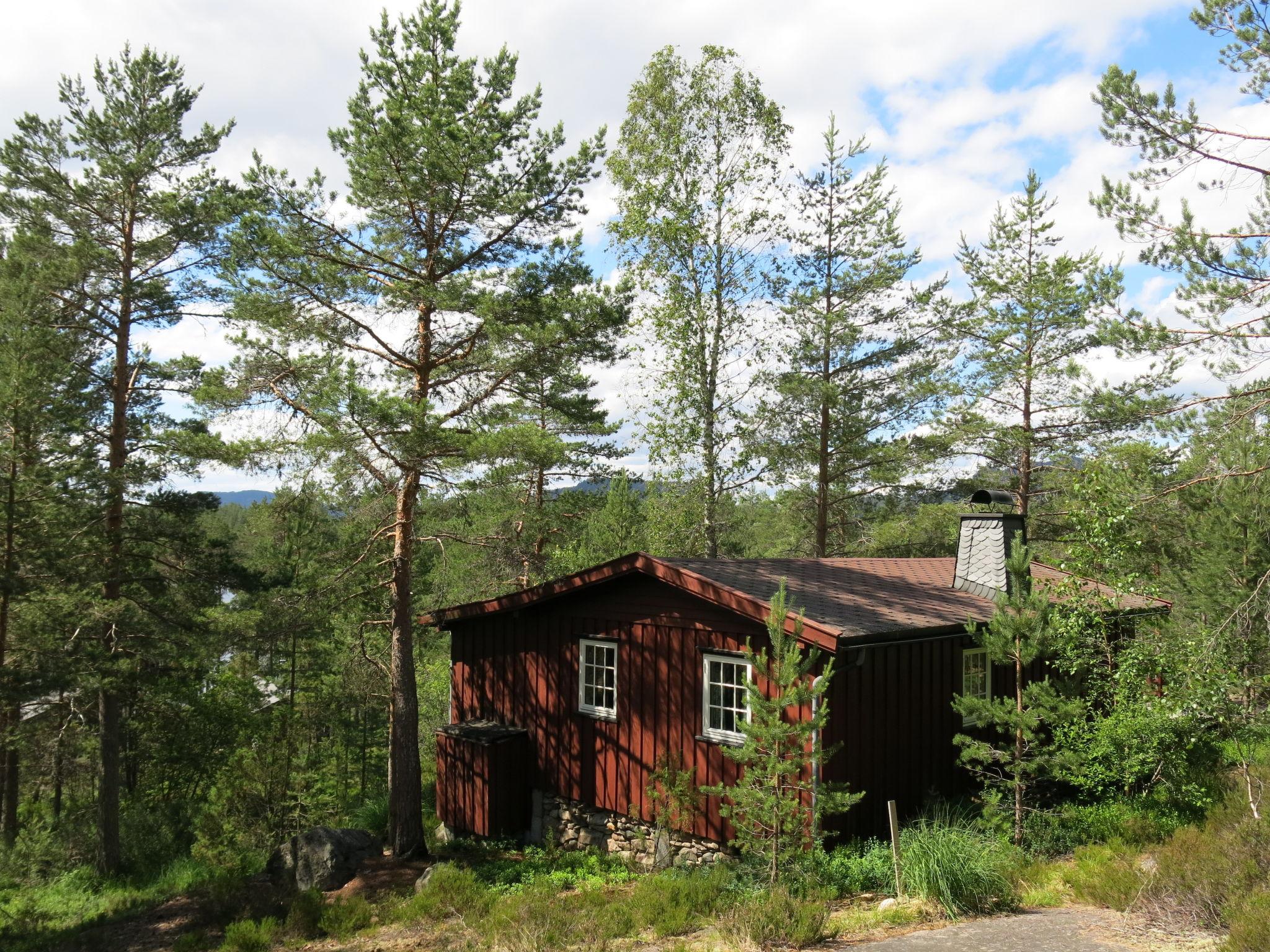 Foto 11 - Haus mit 2 Schlafzimmern in Nissedal mit terrasse