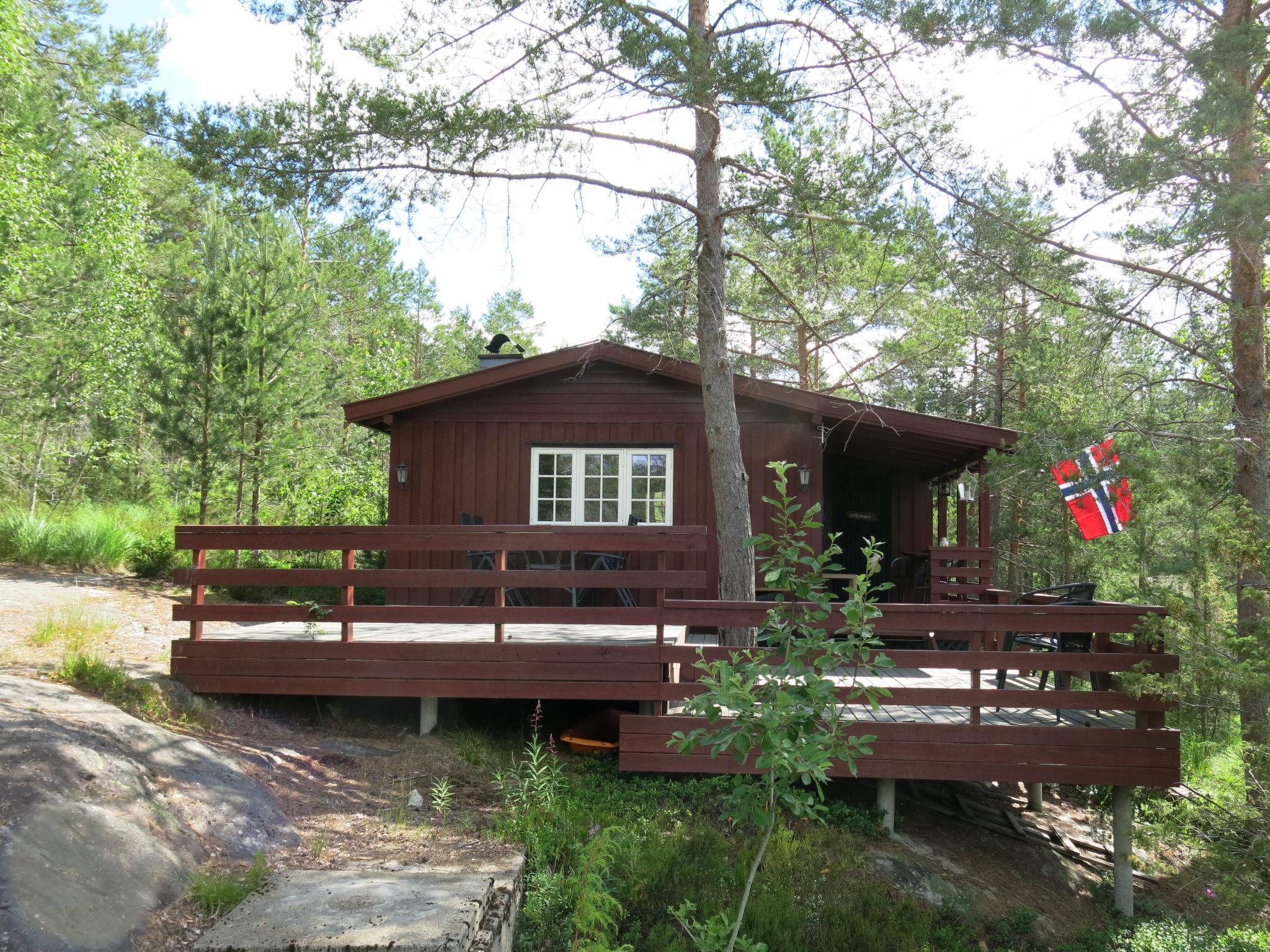 Photo 1 - Maison de 2 chambres à Nissedal avec terrasse