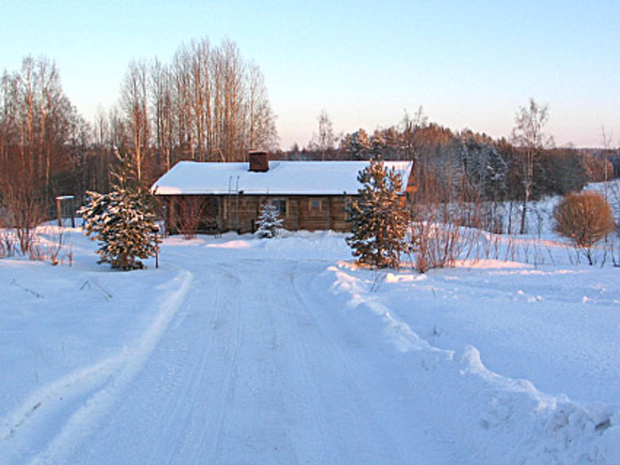 Foto 22 - Casa con 2 camere da letto a Jämsä con sauna
